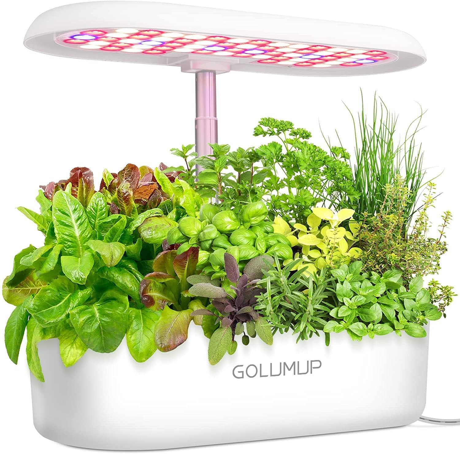 GOLUMUP Hydroponics Growing System Kit 12 Pods, Indoor Herb Garden with Grow Lights, Indoor Gardening System for Home Kitchen, Hydroponic Garden with Water Indicator, Cycle Pump & Timing