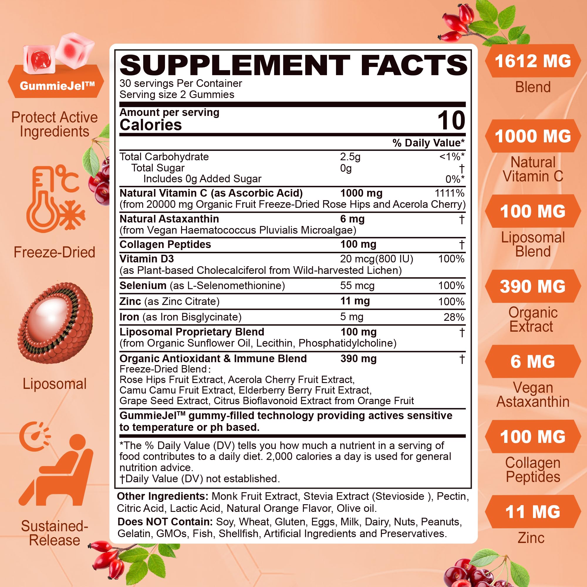 Sugar Free Liposomal Vitamin C 1000mg Filled Gummies for Adults & Kids, 1612mg w/Rose Hips,Acerola,D3, Zinc,Elderberry, Bioflavonoid, Astaxanthin,Camu,Iron - Natural Organic Chewable Vitamin C Gummies