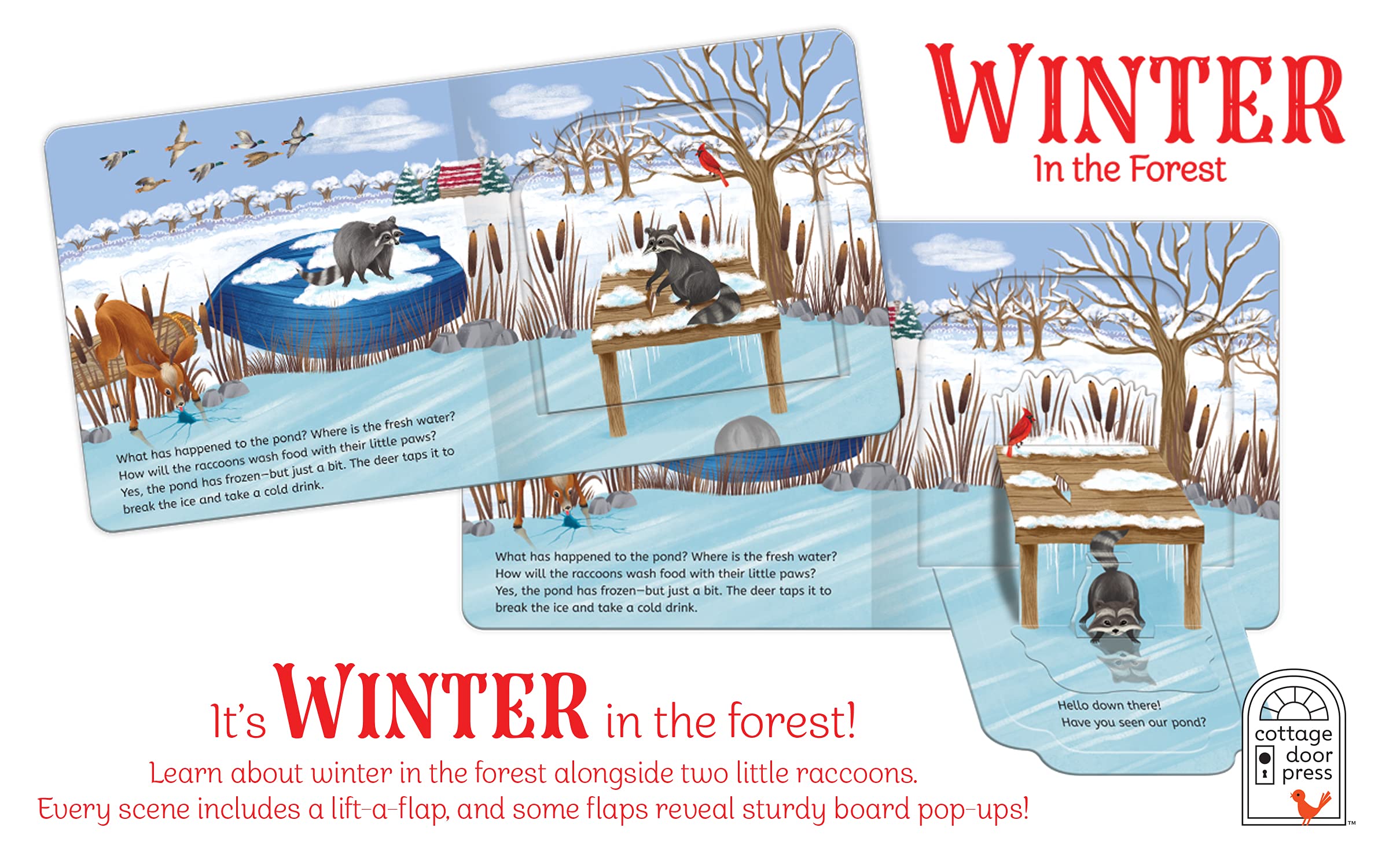 Winter In The Forest Deluxe Lift-a-Flap & Pop-Up Seasons Children's Board Book (Lift-a-flap Surprise)