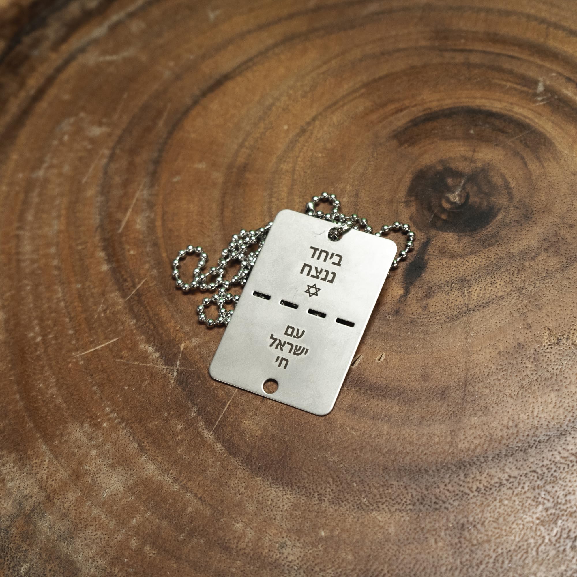Leef Design Bring Them Home Now IDF Israel Military Style Dog Tag Necklace to Stand with Israel & Show Support - Stainless Steel w/ 30" Ball Chain and Mini Split Ring (Bring Them Home Now!)