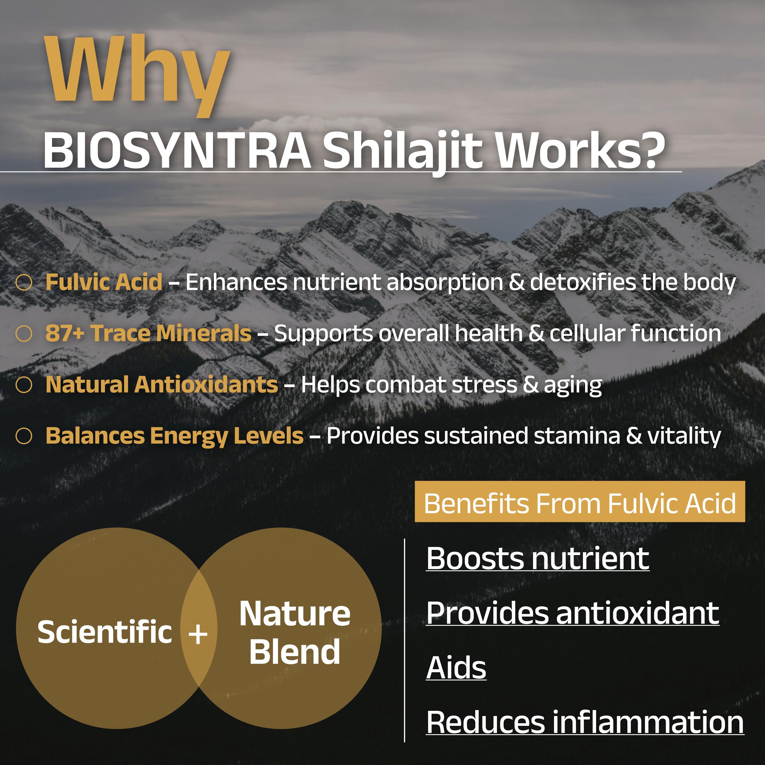 Biosyntra Pure Shilajit Resin – with Fulvic Acid & 87+ Trace Minerals exctracted from Himalaya – Natural Energy, Stamina & Vitality Supplement for Men & Women, 3rd Party Tested, Non-GMO, 1.7 oz Jar