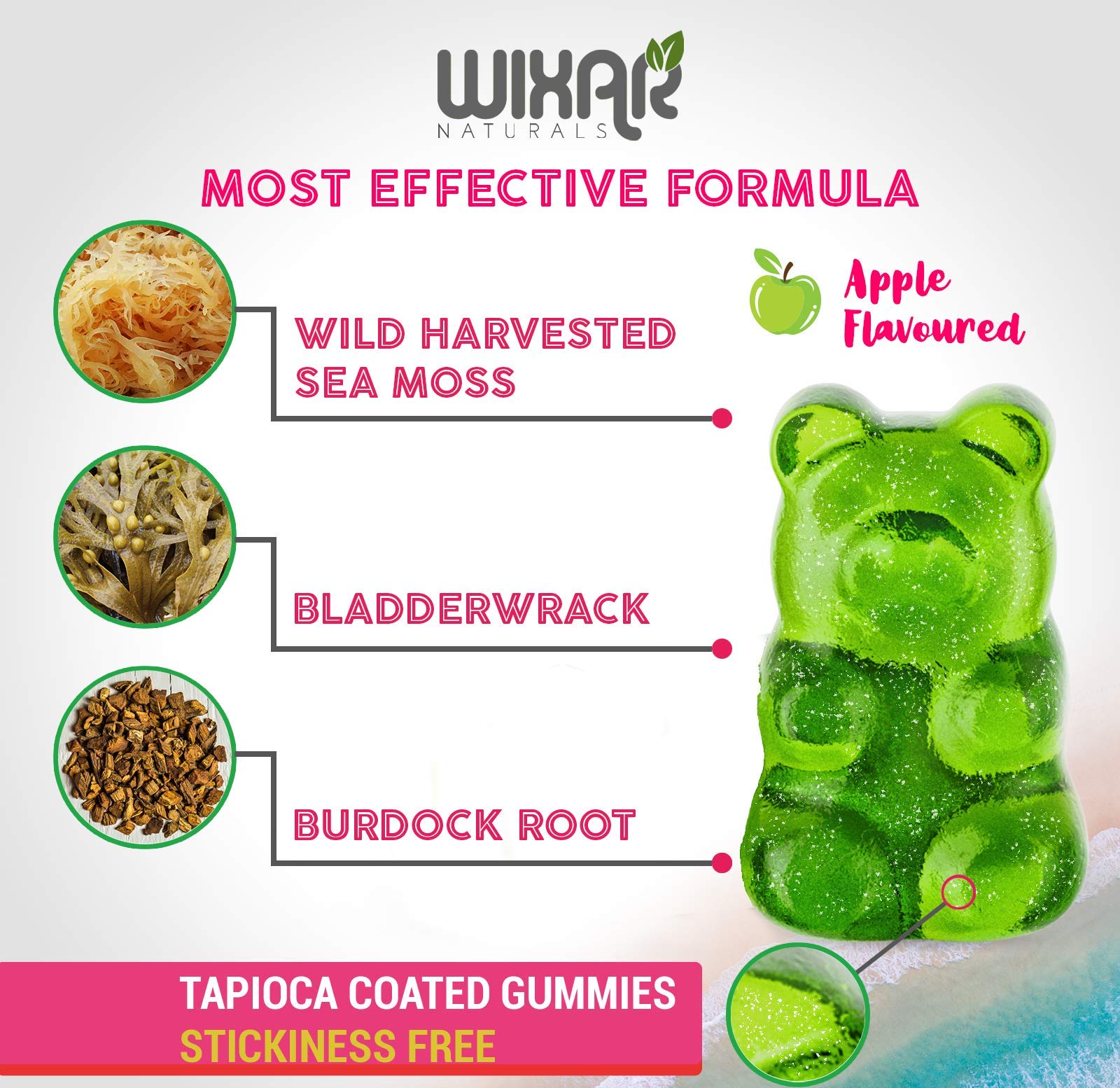 WIXAR NATURALS Sea Moss Gummies - Natural Irish Sea Moss and Bladderwrack with Burdock Gummy - 60 Gummies - Vegan - Healthy Immune, Gut & Overall Wellness Support - Herbal Alkaline Supplements