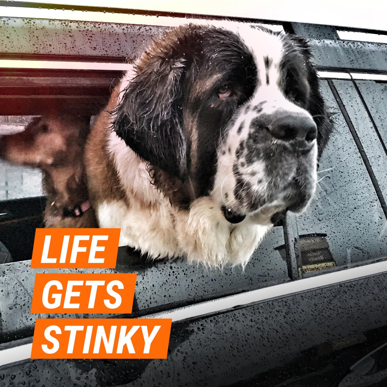 Armor All Fresh Fx Odor Eliminator Car Fogger (3 Count), Car Air Freshener, New Car Scent