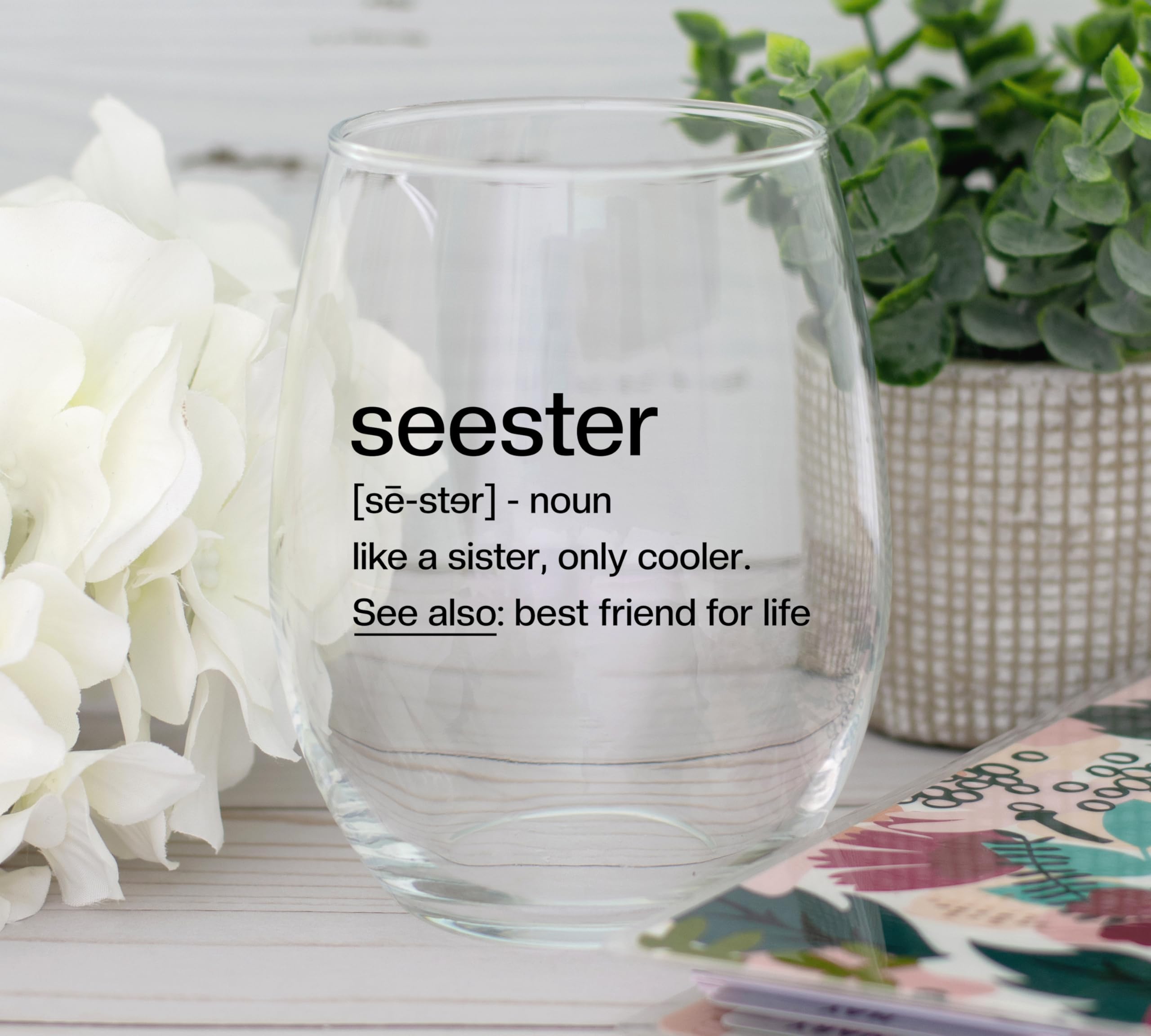 Sister Birthday Gifts Idea - Seester Definition Present for Her - Funny Best Friend Bestie from Brother - Friendship Soul Gifts for Women - Big Sister Sorority Gift - 15 oz Wine Glass