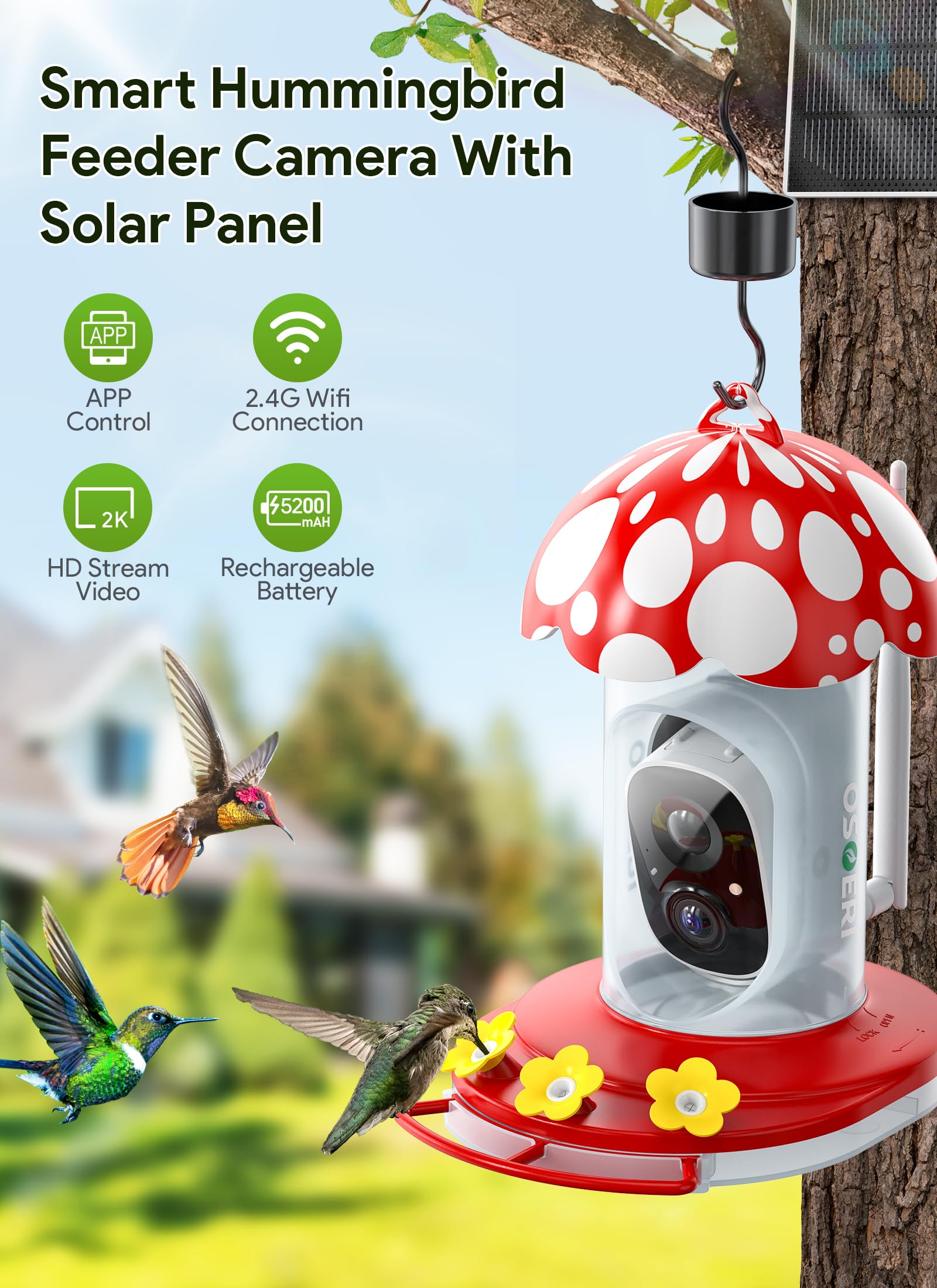 Osoeri Hummingbird Feeder with Camera, 2K HD AI Identify Solar Bird Feeders Camera for Outdoors Hanging, Smart Auto Capture Motion Bird Videos, Ant & Bee Proof, Ideal Gift for Bird Lovers&Family