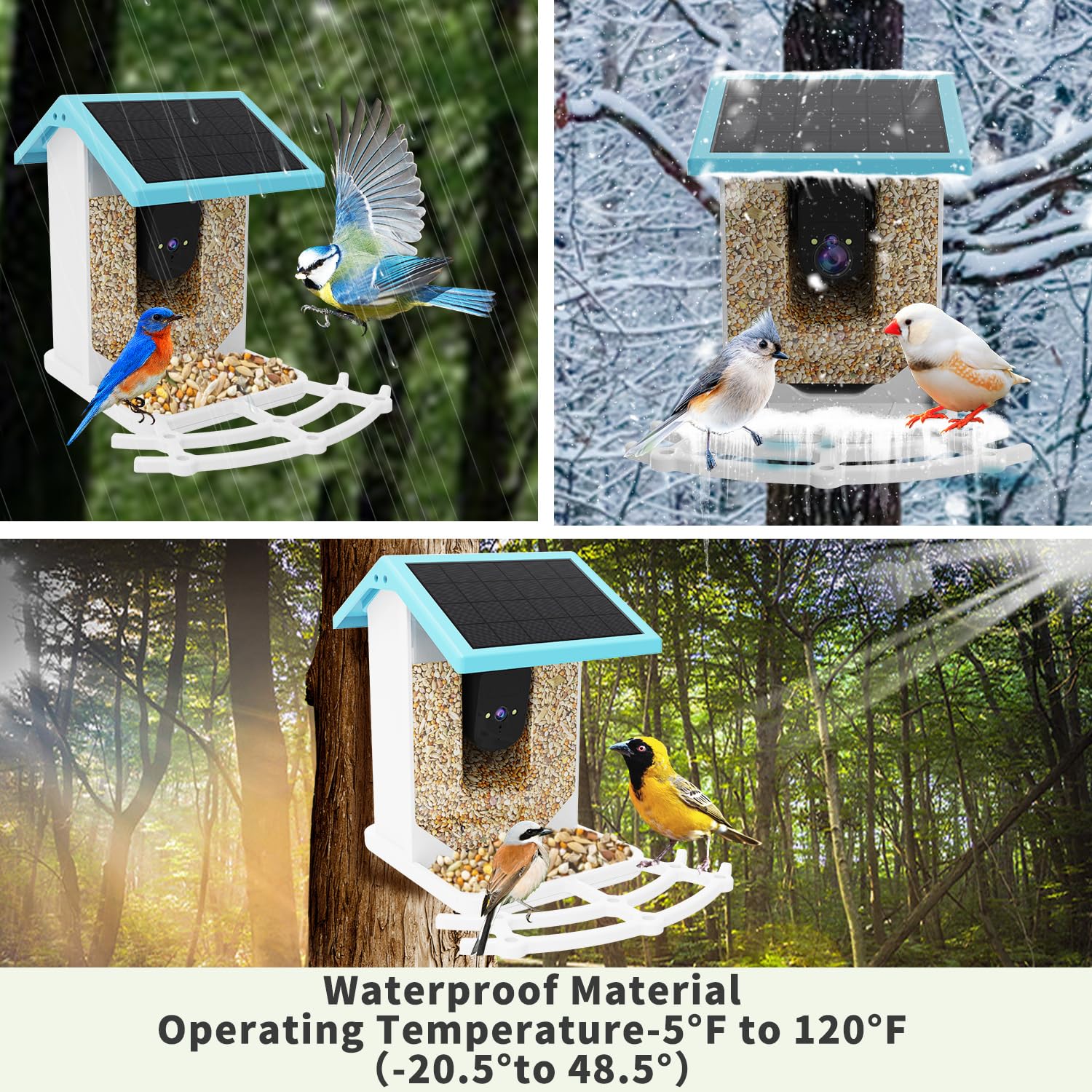 Smart Bird Feeder with Camera - HD AI Identify 11000+ Bird Species, Solar Panel Bird Feeder Auto Detect & Notify, Bird Watching Camera Wireless Outdoor for Bird Lover