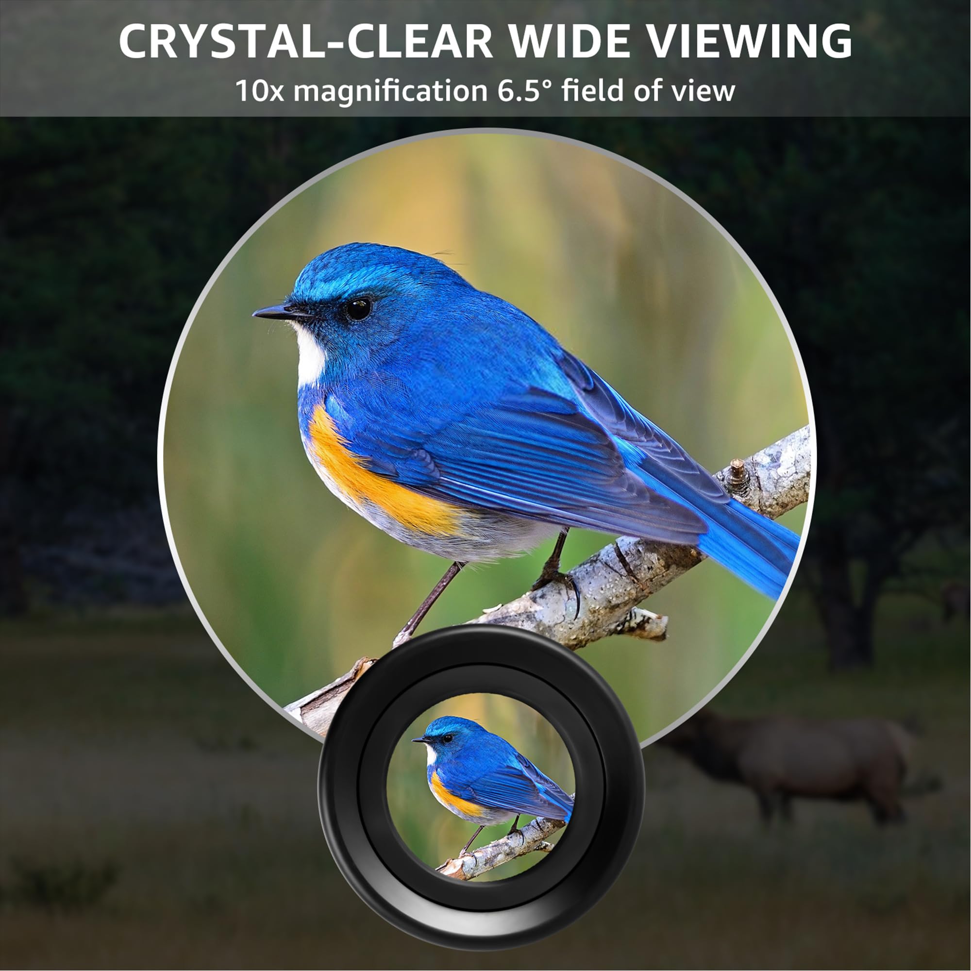 10x36 Monocular Telescope, Compact Handheld Mini Pocket Small Portable Size ED Lens Fully Multi-Coated HD BAK-4 Prism Optics Professional Waterproof Fogproof for Adults Hiking Bird Watching Travel