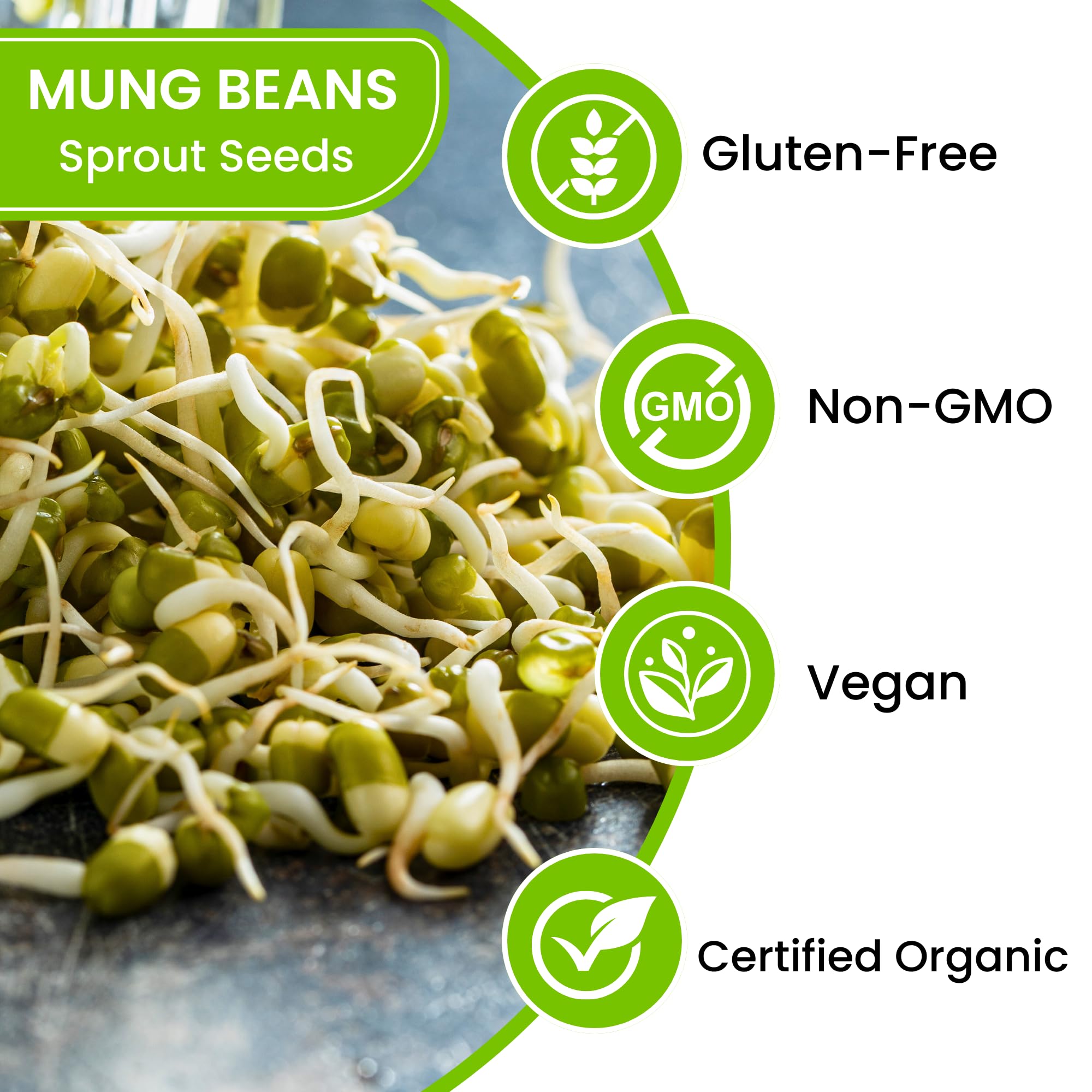 Mung Bean Sprouting Seeds - NON GMO- Resealable Bag for Longer Freshness – Rich in Vitamins, Minerals, Fiber (4 Oz.)