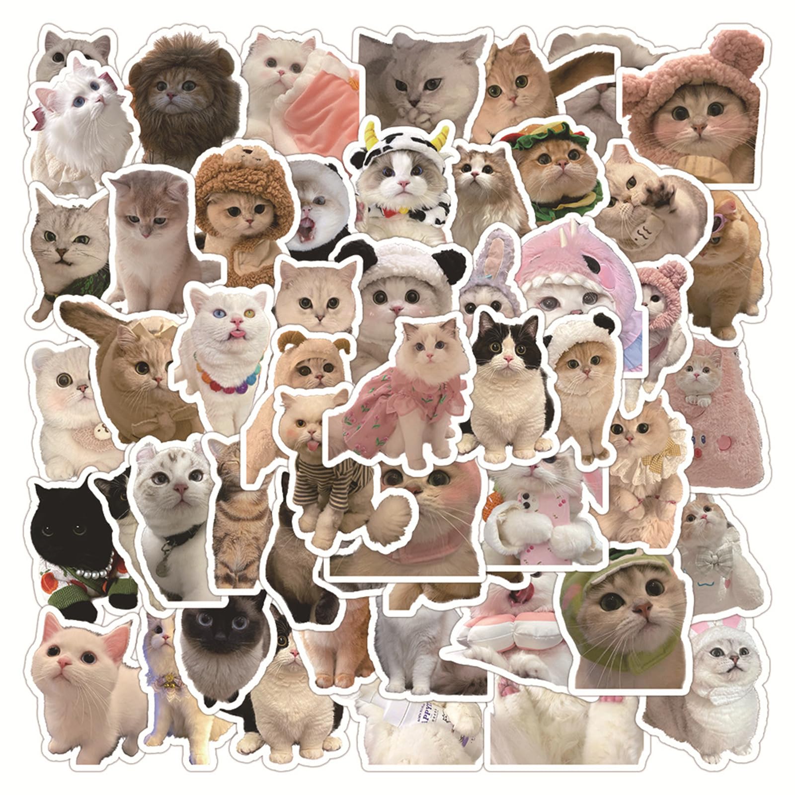 56 PCS Cute Cat Stickers for Kids, Funny Stuff Water Bottle Stickers for Laptop Vinyl Classroom Prize, Cute Things Birthday Gifts Cute Stuff for Boys Girls Adults Teens (Cat)