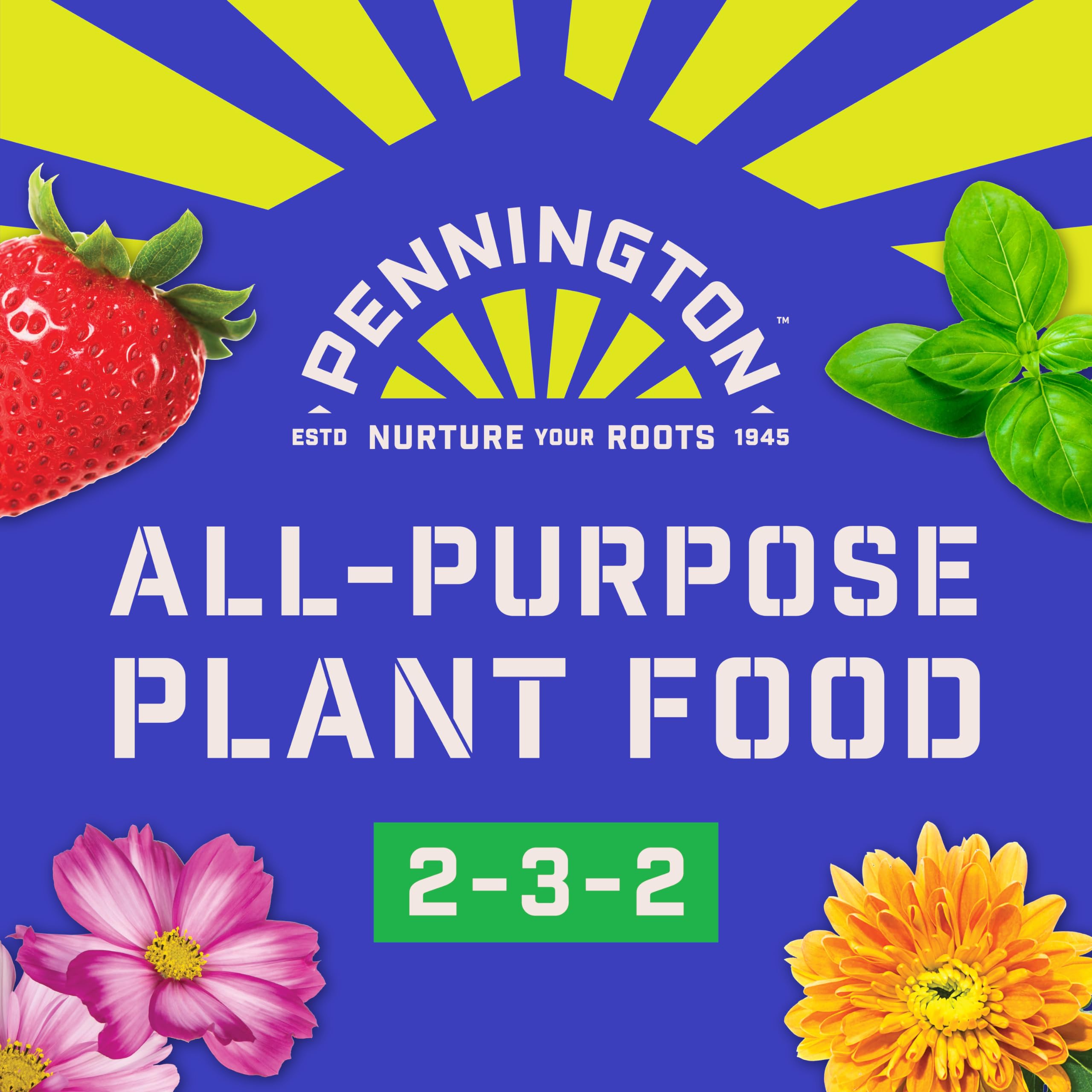 Pennington 100550385 All-Purpose Plant Food 2-3-2-32oz, White Label