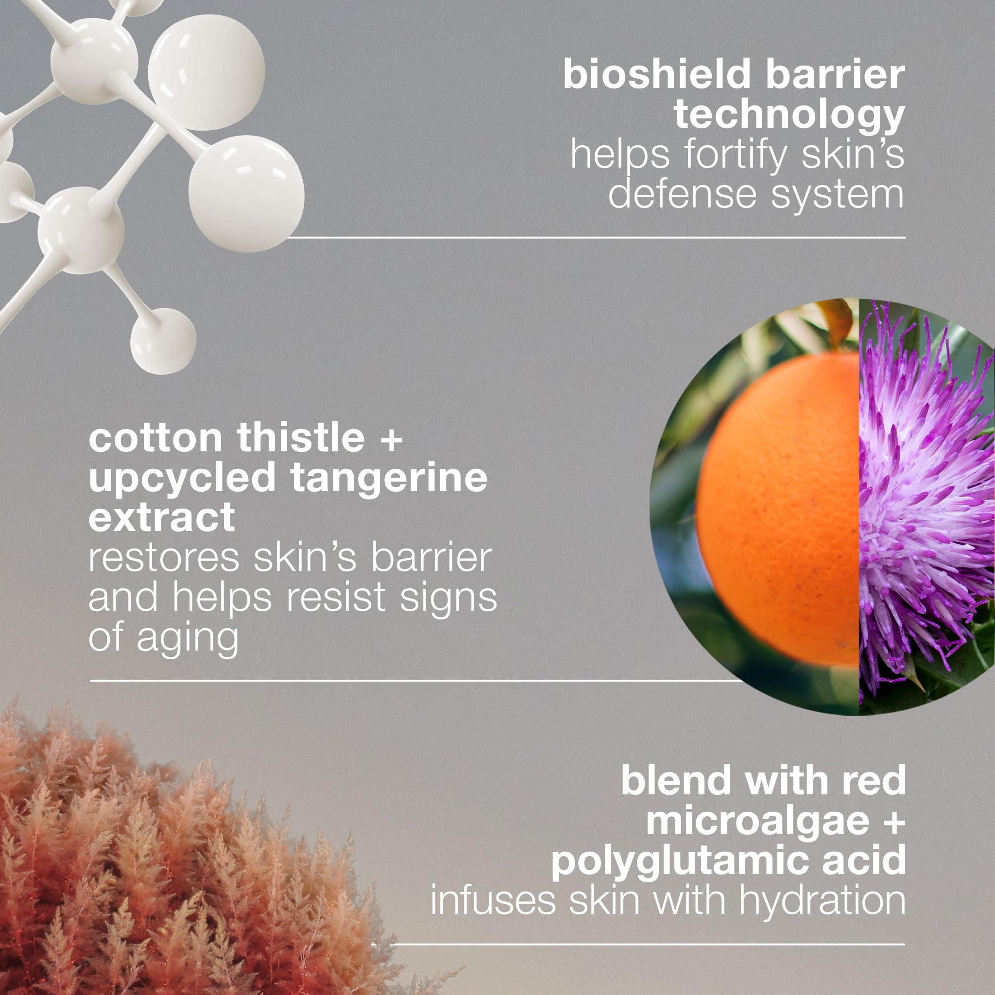 Dermalogica Dynamic Skin Strengthening Serum, Anti Aging Face Serum - Strengthens and Hydrates Skin Barrier, 1 fl oz