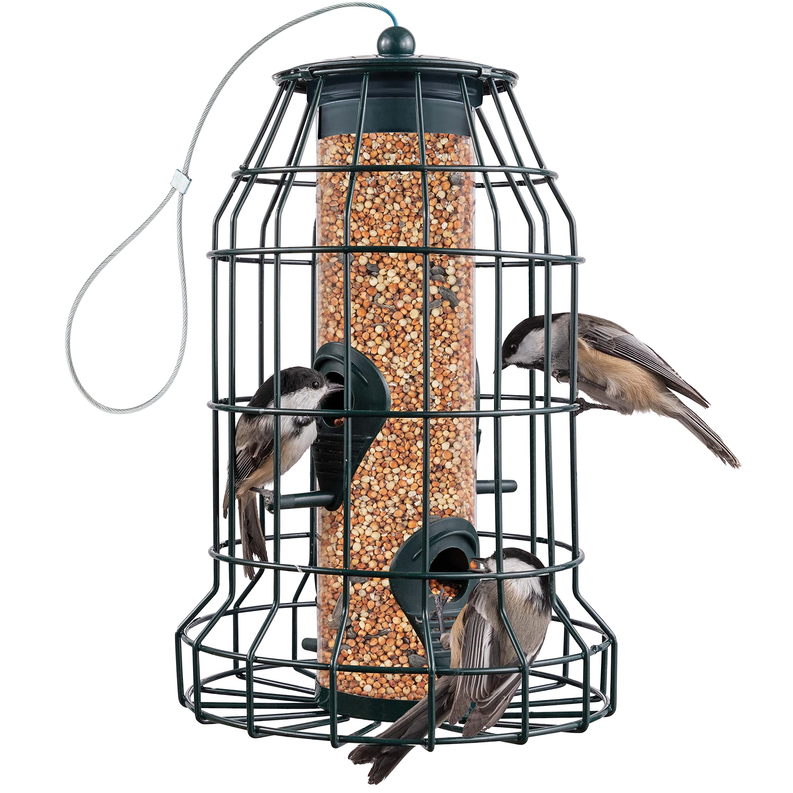 Squirrel Resistant Bird Feeders 22 oz. Bird Feeder with 4 Perches for Small Backyard Birds ONLY. Bird Feeder Squirrel Proof/Chew Proof/Rustproof. Fill with Wild Bird Seed for Outside Feeders