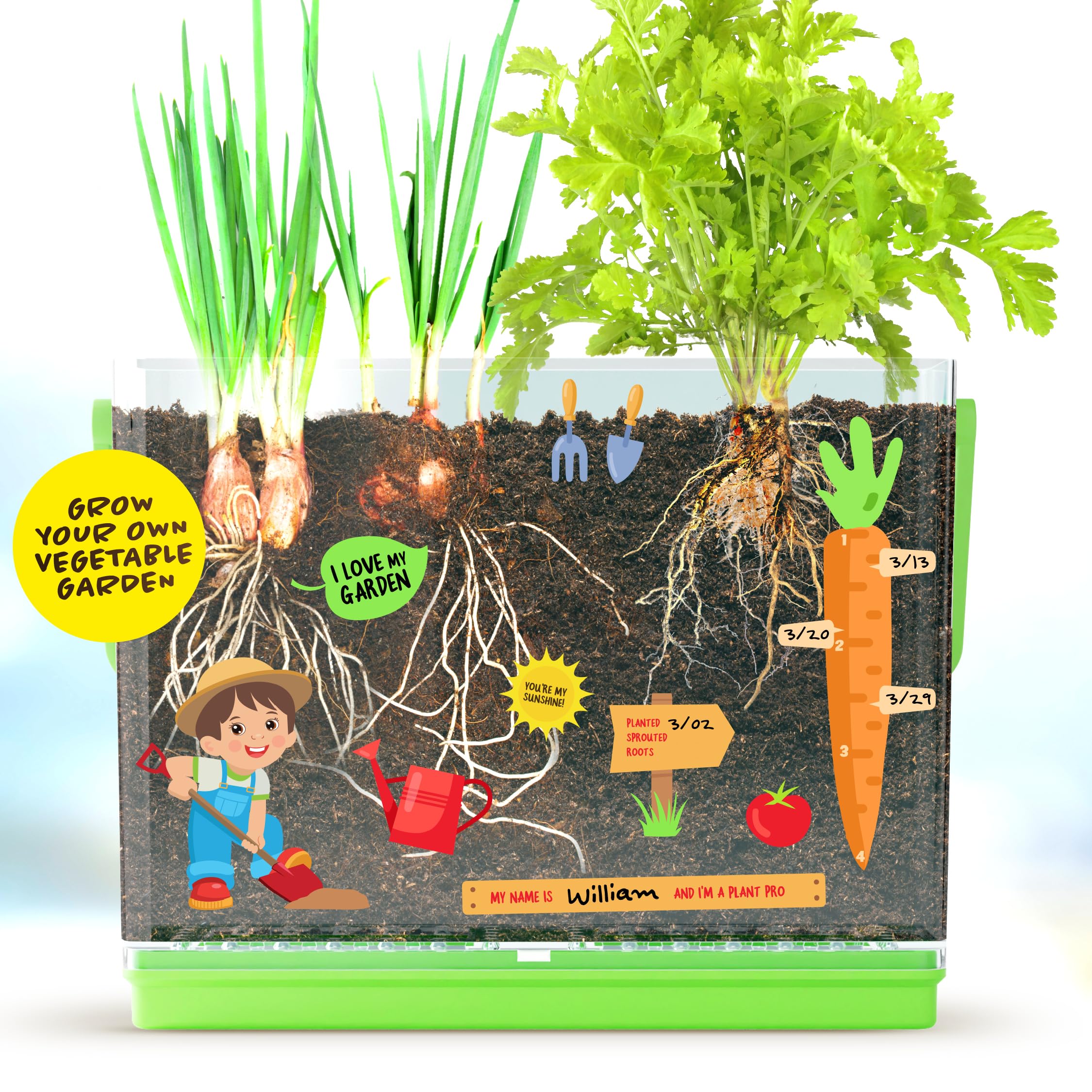 Root Viewer Kit for Kids - Grow Your Own Plant for Boys & Girls - Science STEM Toy & Craft Growing Kits for Ages 4-8 Birthday Easter Gifts for Boy, Girls 4, 5, 6, 7, 8, Year Old - Gardening Set Toys