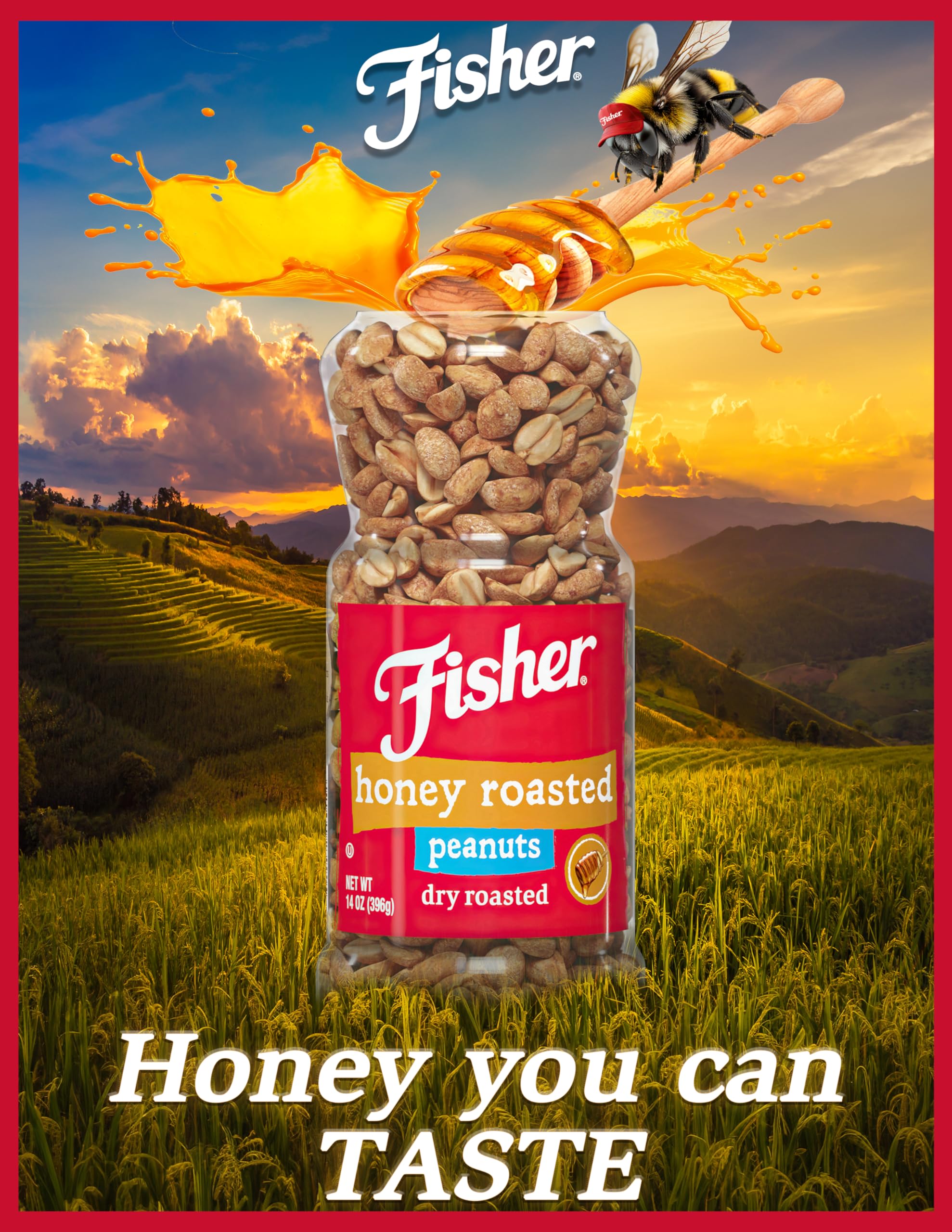 Fisher Snack Honey Roasted Dry Roasted Peanuts, 14 Ounces, Made with Real Honey, 100% Recyclable