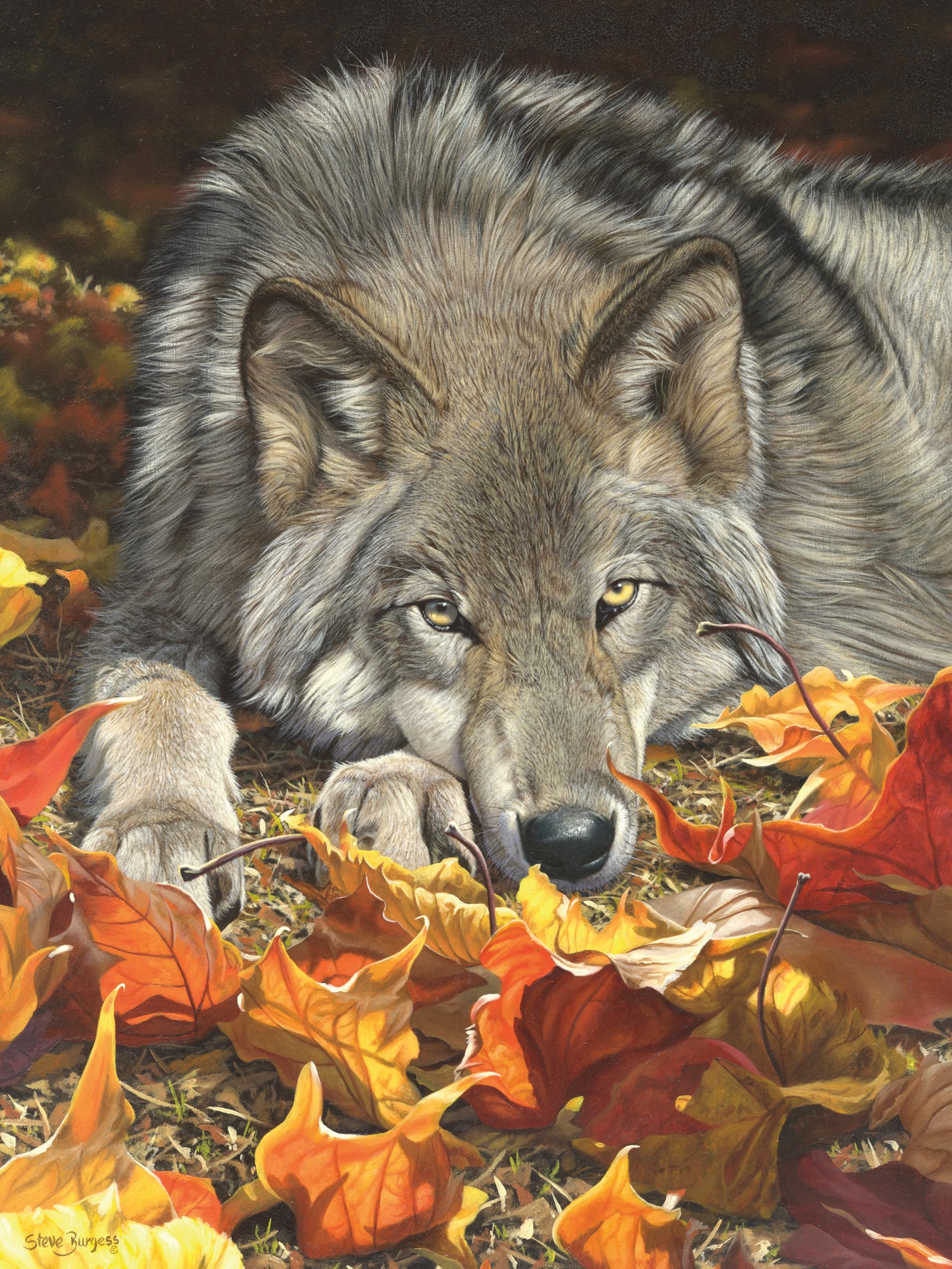 Ceaco - Wolf's Contemplation - 500 Piece Jigsaw Puzzle