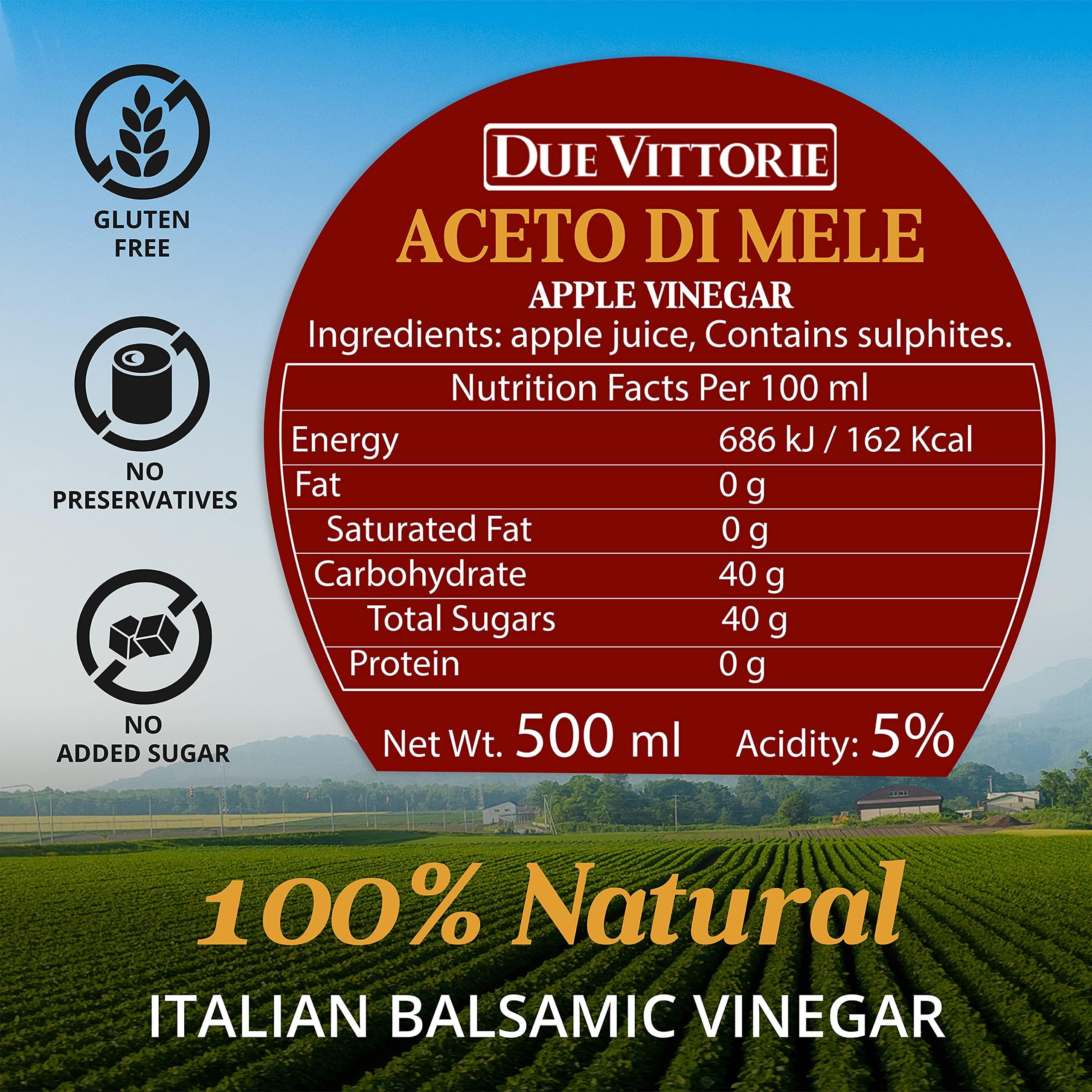 Due Vittorie Apple Vinegar - Easy to Drink Raw Apple Cider Vinegar Aged in Barrique Wine Barrels, Gourmet Vinegar for Cooking, Imported From Italy, All Natural - 16.9 fl oz / 500ml