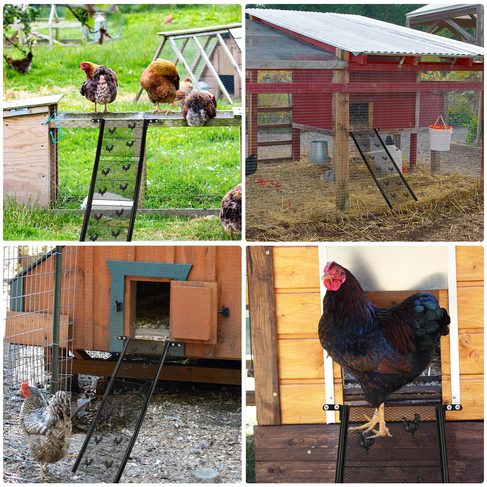 Chicken Coop Ramp, Chicken Ladder & Coop Accessories, Ladder Length Adjustable for Henhouse, Coop Steps for Feet Problem or Cannot Fly Chickens, Heavy Duty Sturdy,Corrosion-Resistant, and Waterproof