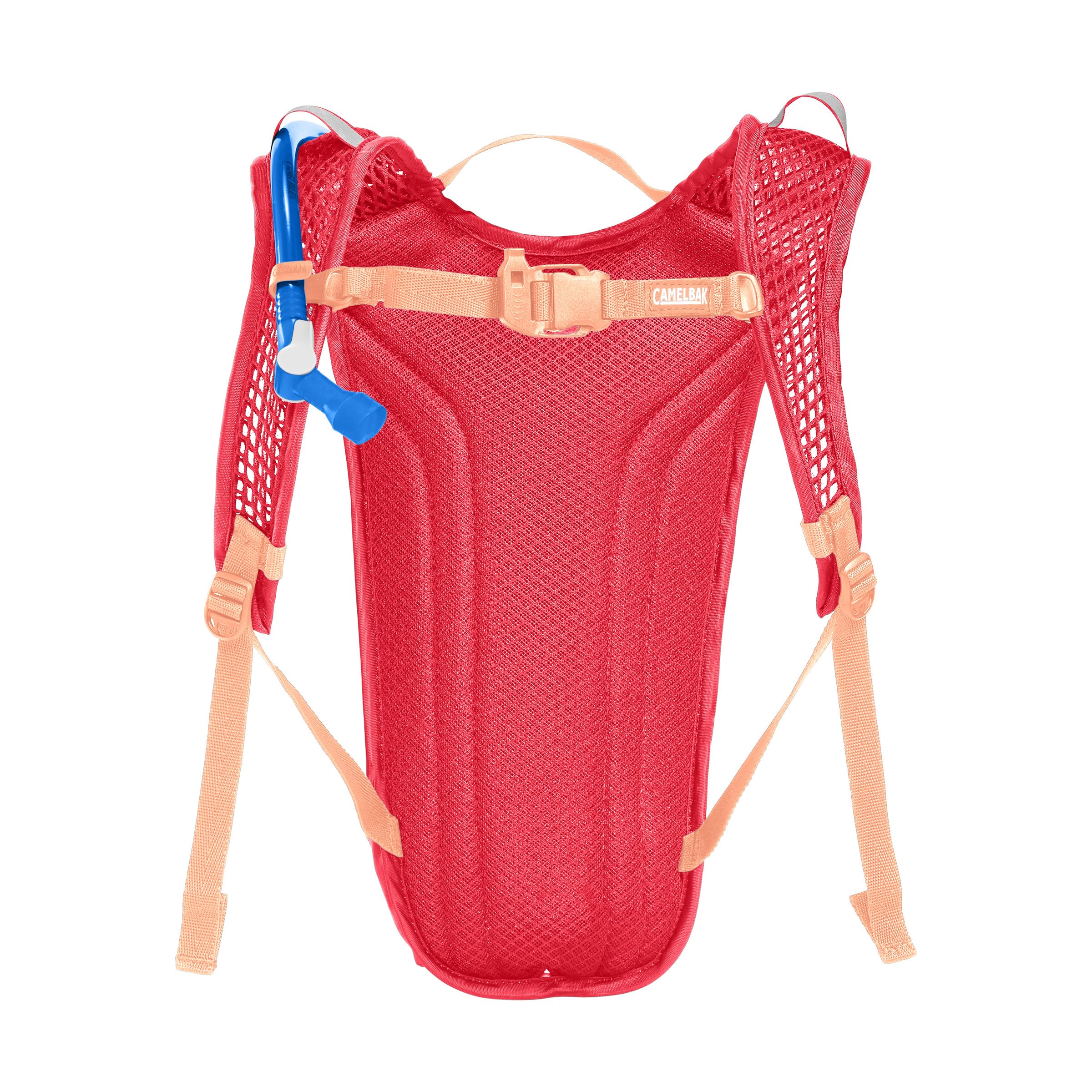 CamelBak Mini M.U.L.E. Kids Hydration Backpack for Hiking and Biking - 50oz, Pink/Flowers