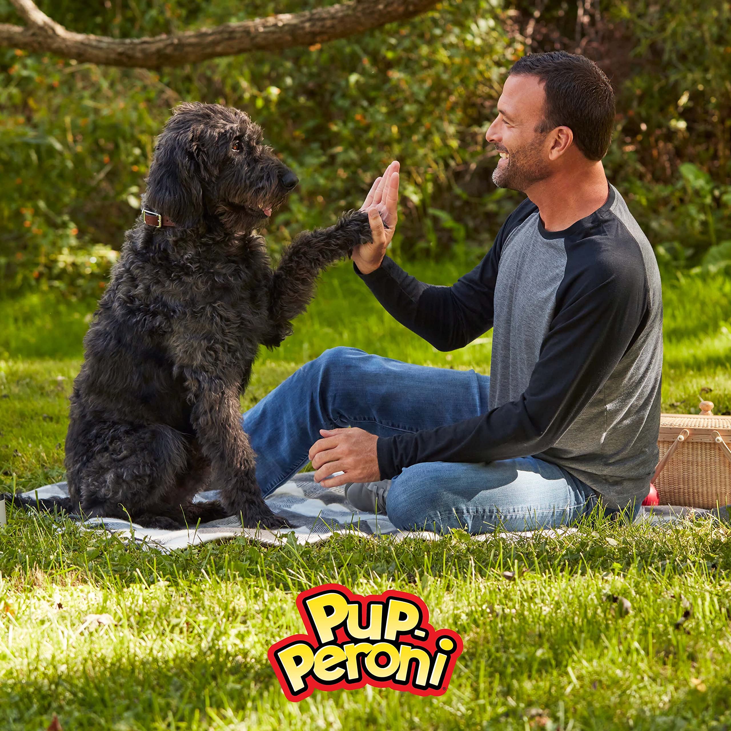 Pup-Peroni Dog Treats, Real Beef + Sweet Potato Mix Stix, 5.6 Ounce (Pack of 8)