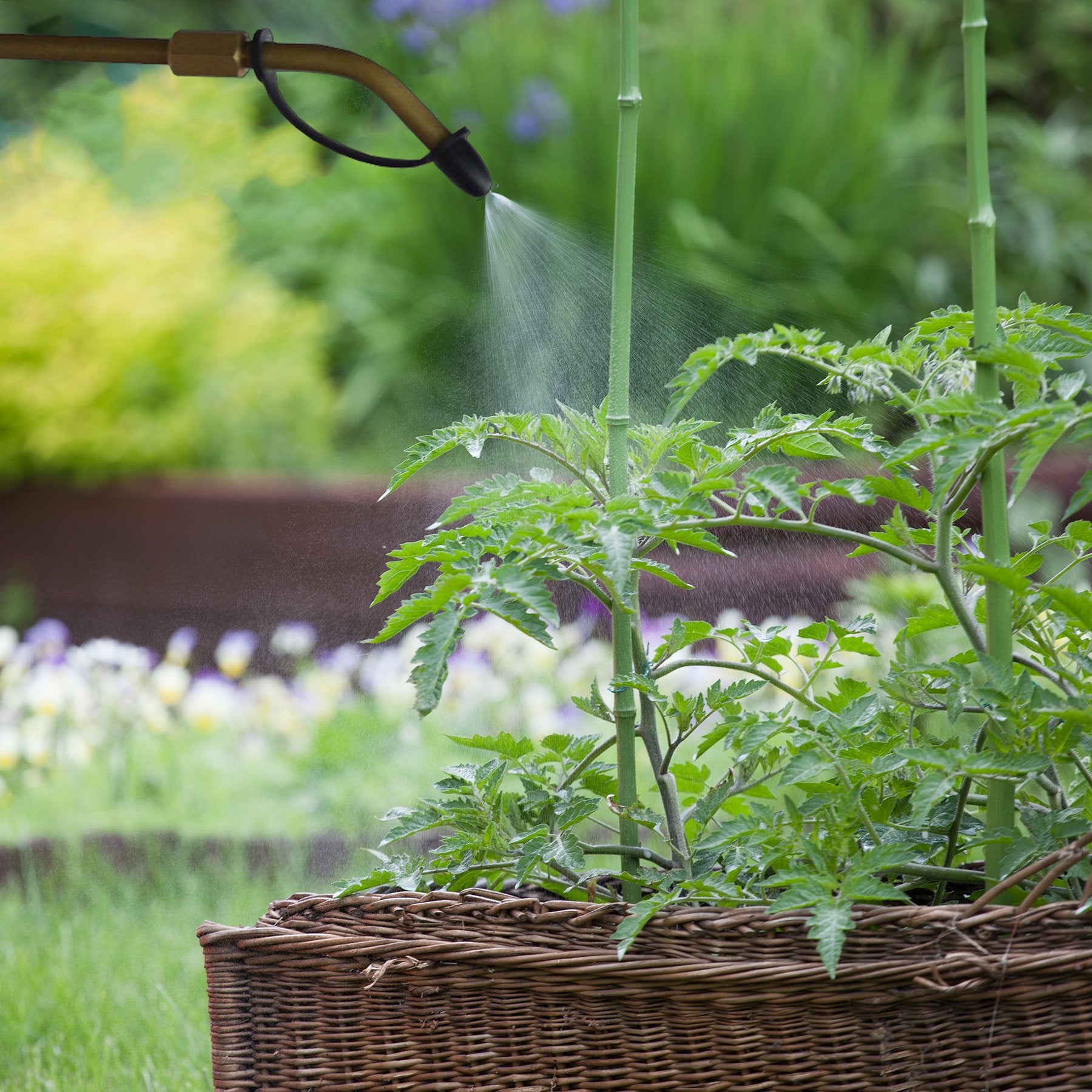 Ivation Bulb Duster Sprayer – Handheld, 7" Extendable Applicator for Earth & Other Home Powder Applications – Non-Toxic, All-Natural – Small