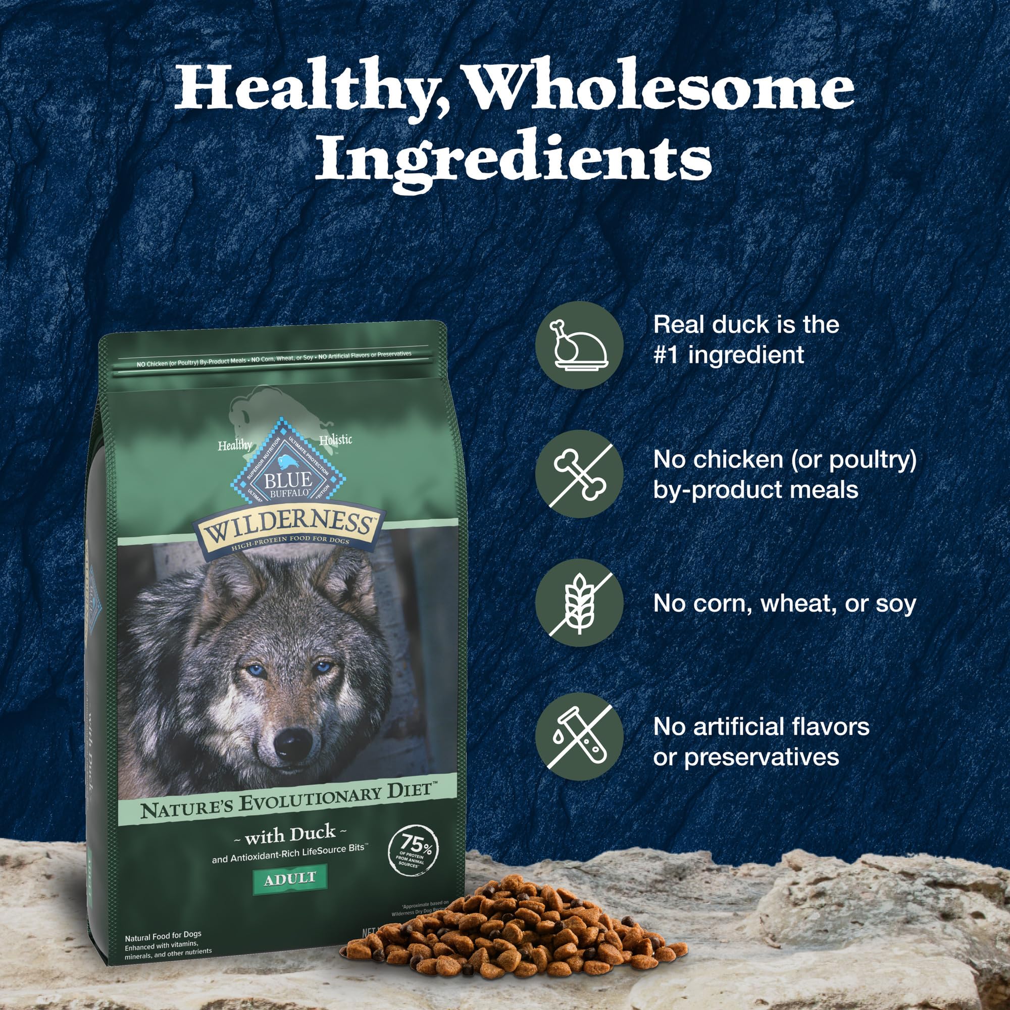 Blue Buffalo Wilderness Natural High-Protein Dry Food for Adult Dogs, with Wholesome Grains, Duck, 13-lb bag.