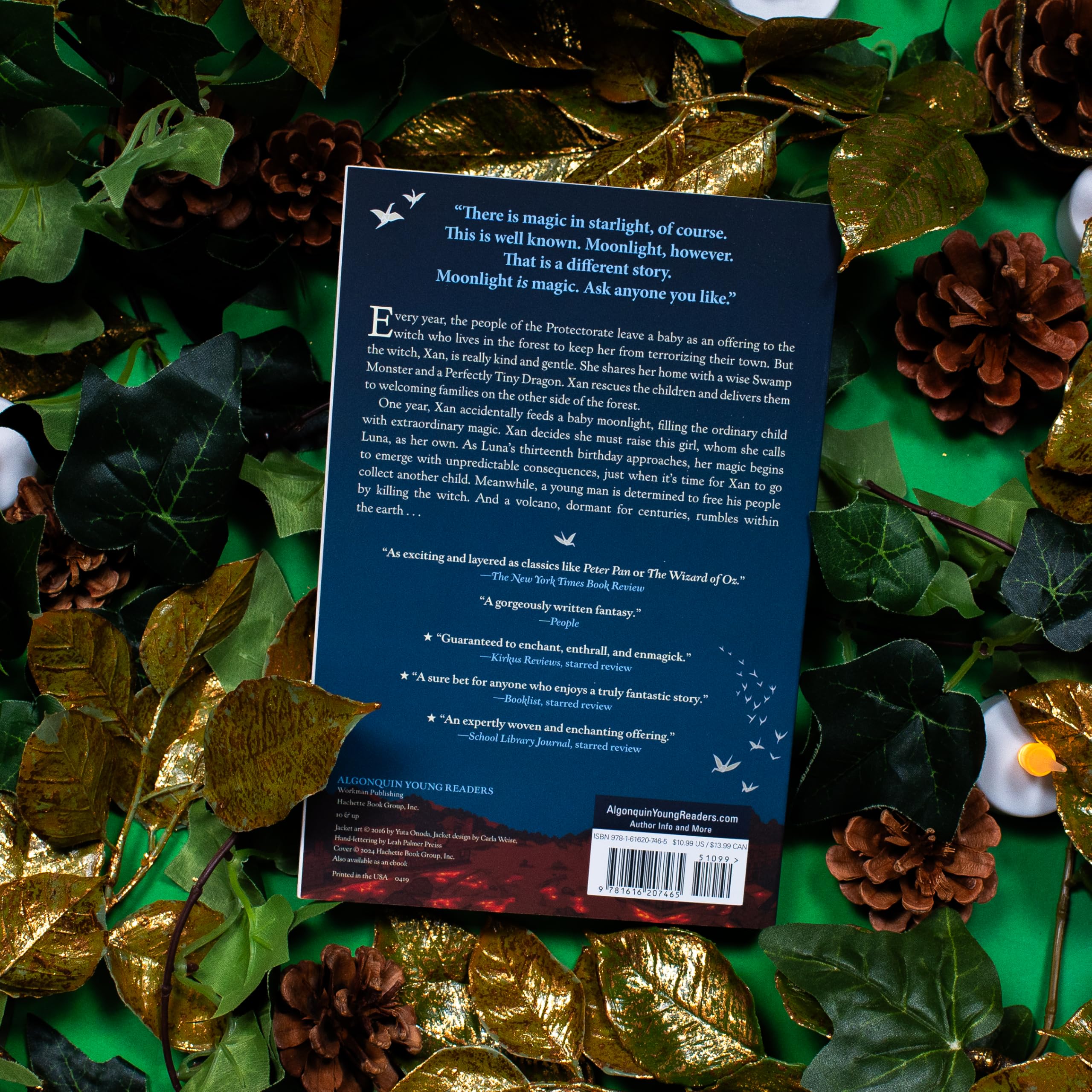 The Girl Who Drank the Moon (Winner of the 2017 Newbery Medal)