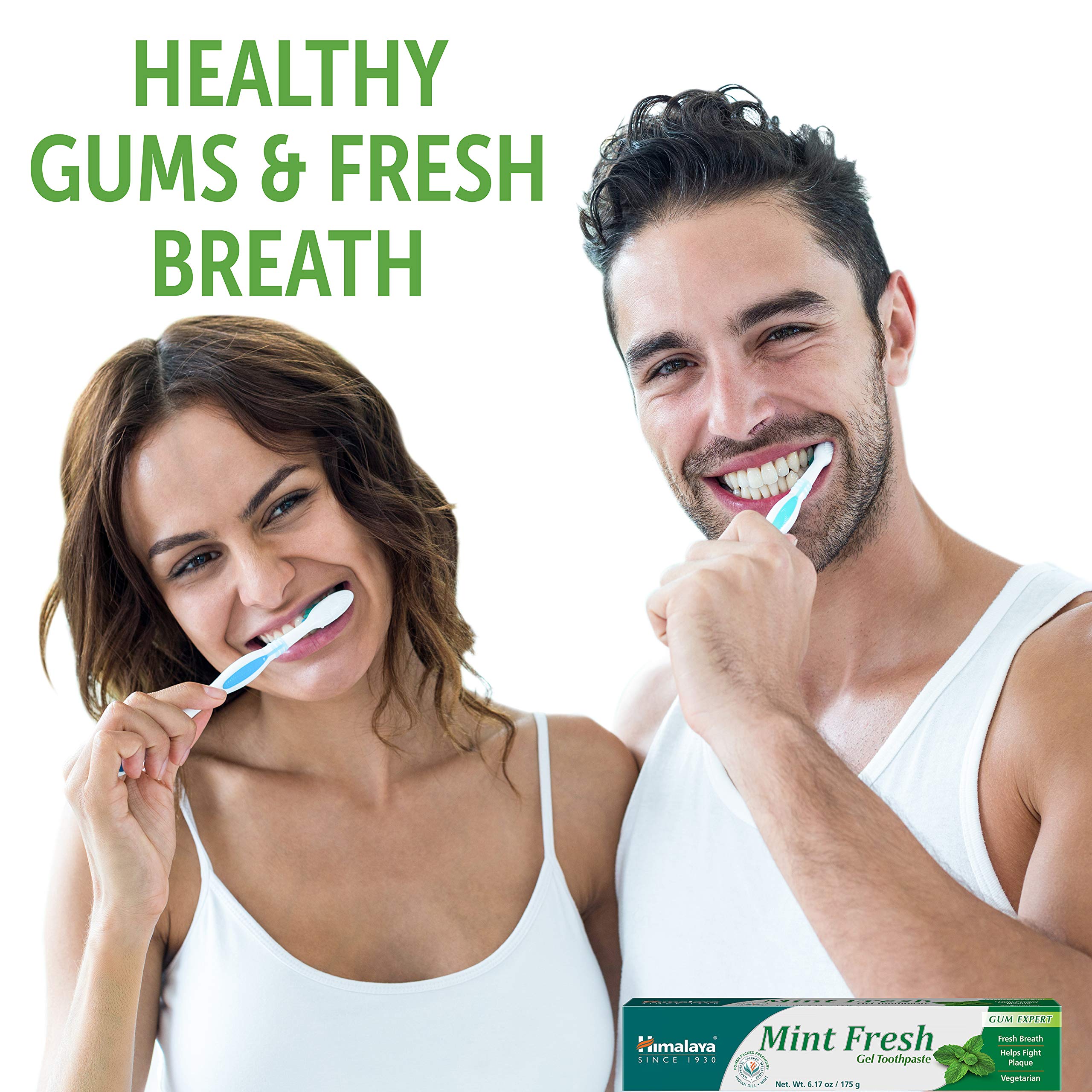 Himalaya Mint Fresh Gel Toothpaste, Fluoride Free to Reduce Plaque & Brighten Teeth, 6.17 oz