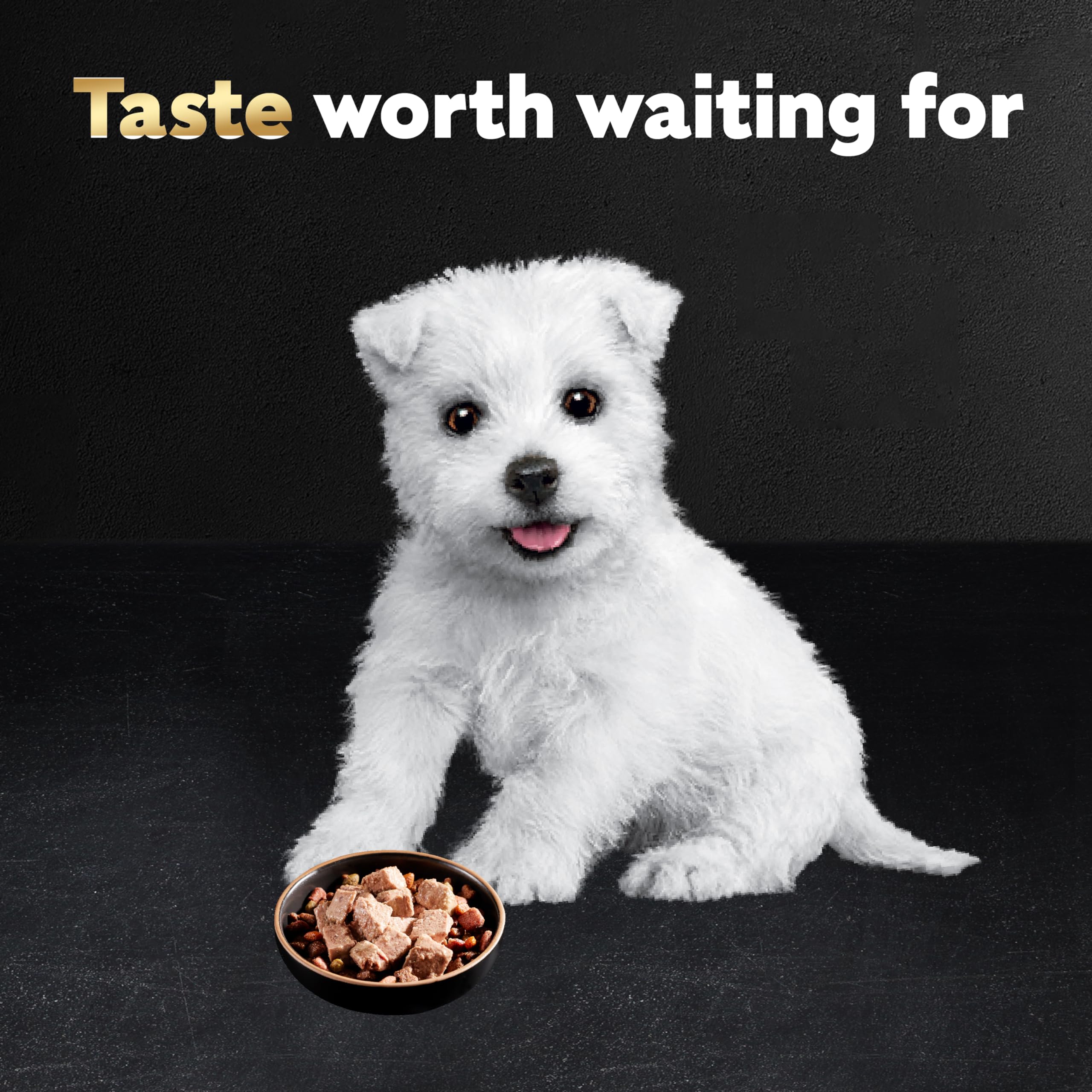 CESAR Puppy Wet Dog Food Classic Loaf in Sauce Chicken & Beef Recipe, (24) 3.5 oz. Easy Peel Trays