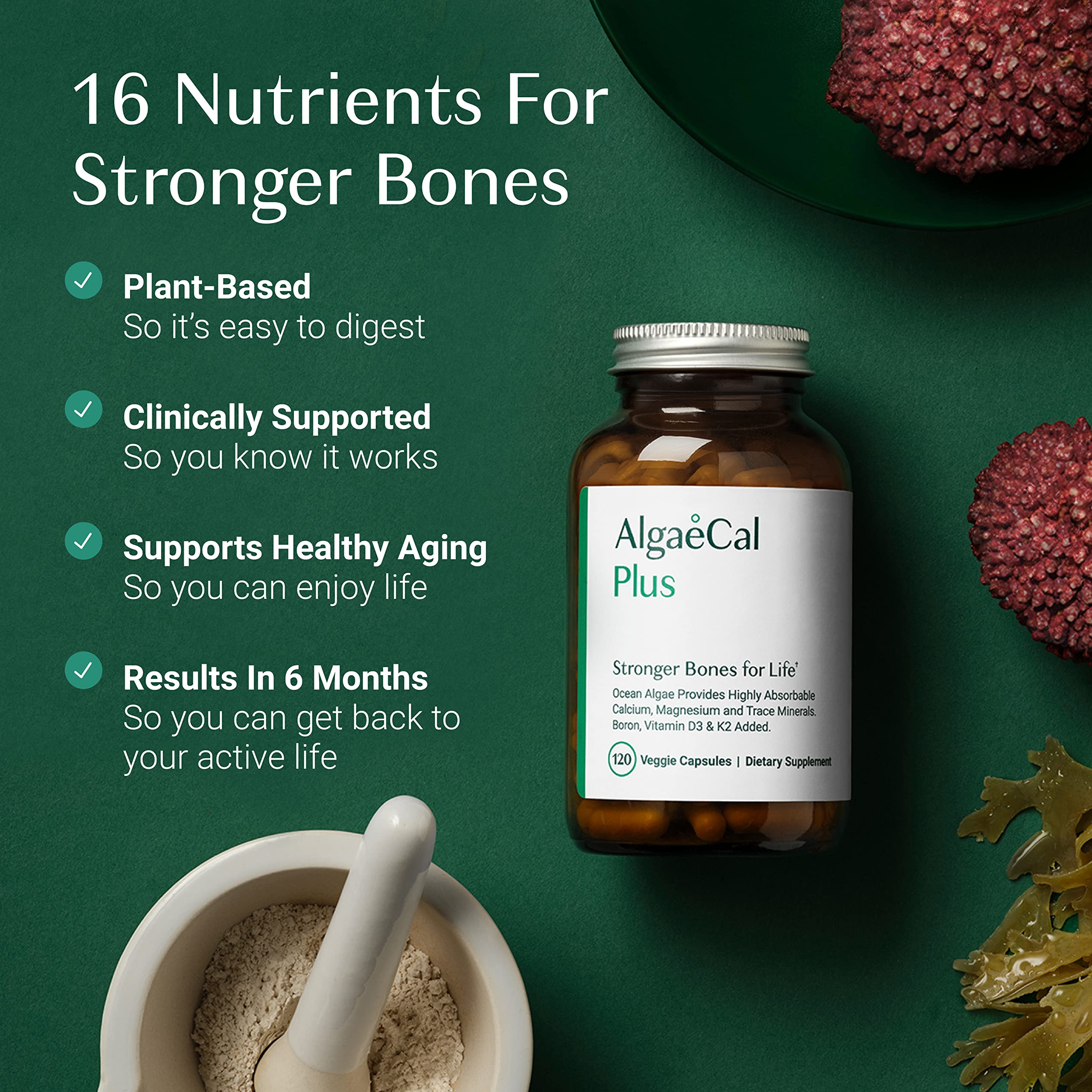 ALGAECAL Plus - Organic Red Algae Calcium Supplement, Vitamin K2 MK7 (100mg), Vitamin D3 (1600 IU), Magnesium (350mg) & Trace Minerals, for Bone Health & Strength, Easy to Swallow, 120 Veggie Caps