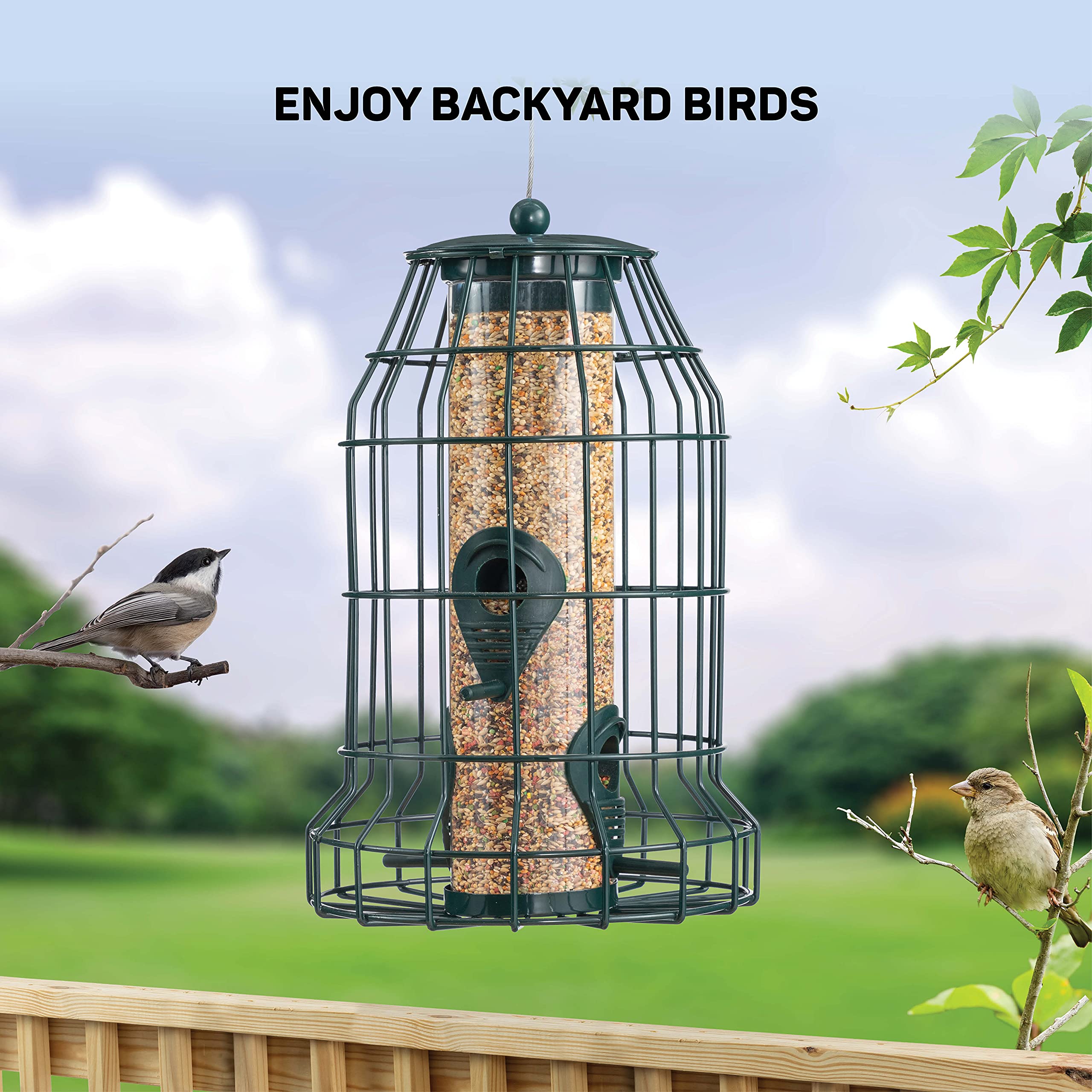 Squirrel Resistant Bird Feeders 22 oz. Bird Feeder with 4 Perches for Small Backyard Birds ONLY. Bird Feeder Squirrel Proof/Chew Proof/Rustproof. Fill with Wild Bird Seed for Outside Feeders