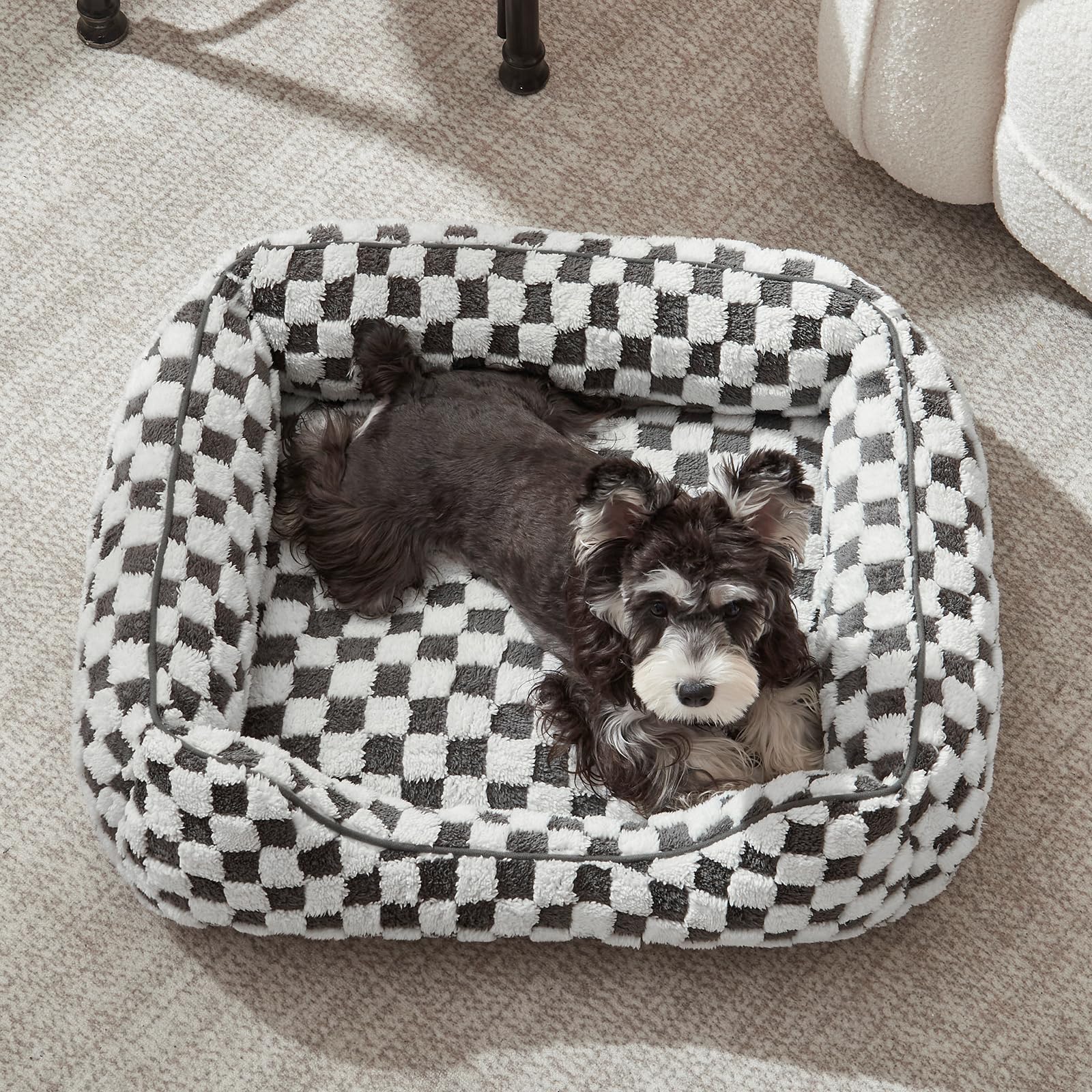 JOEJOY Dog Beds for Small Dogs -Cute Cat Beds for Indoor Cats Calming Pet Beds, Rectangle Orthopedic Cuddle Puppy Bed with Jacquard Shaggy Plush & Anti Slip Bottom, 20x19x6inches, Grey