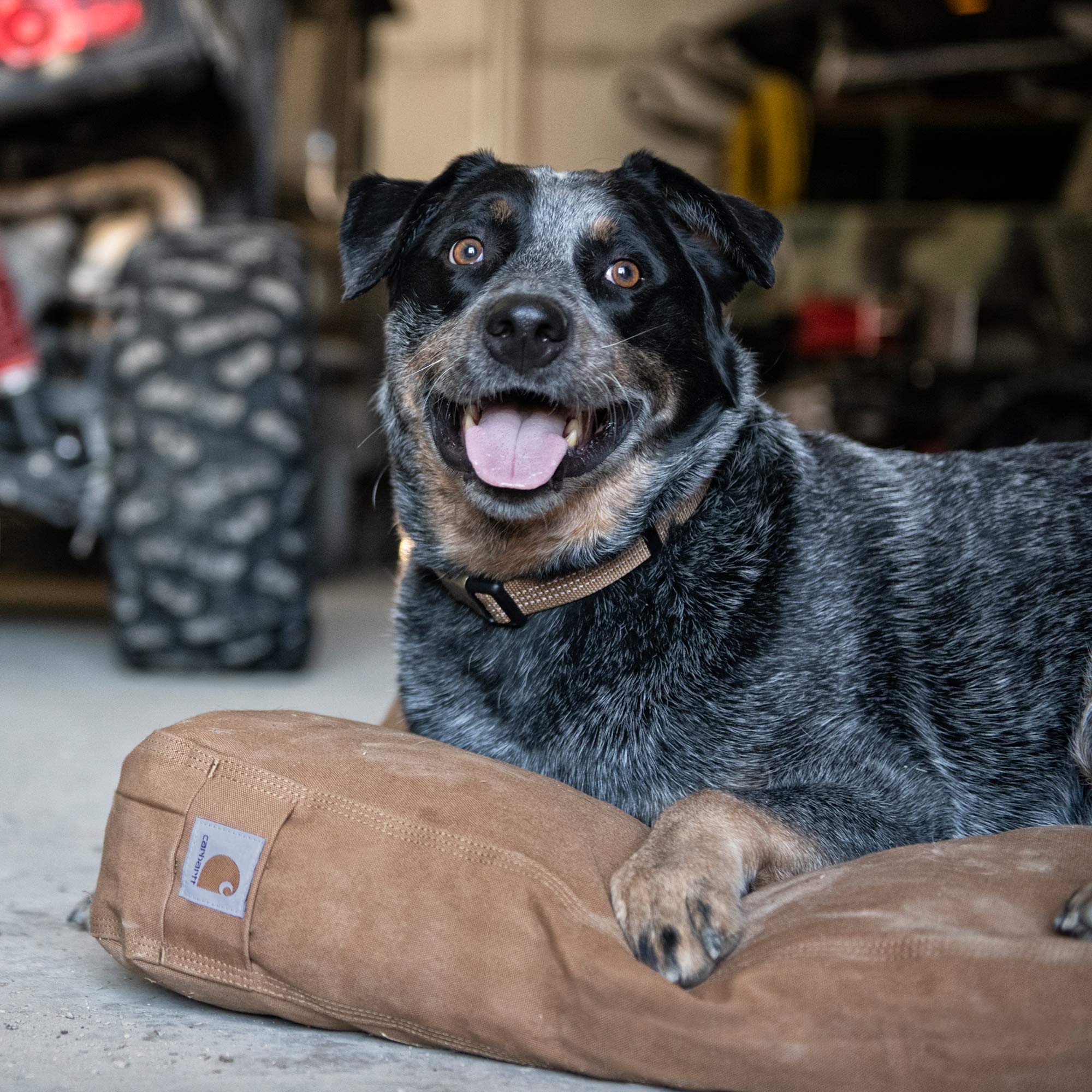 Carhartt Firm Duck Dog Bed Carhartt Brown, Large, 33" x 41" x 4.25"