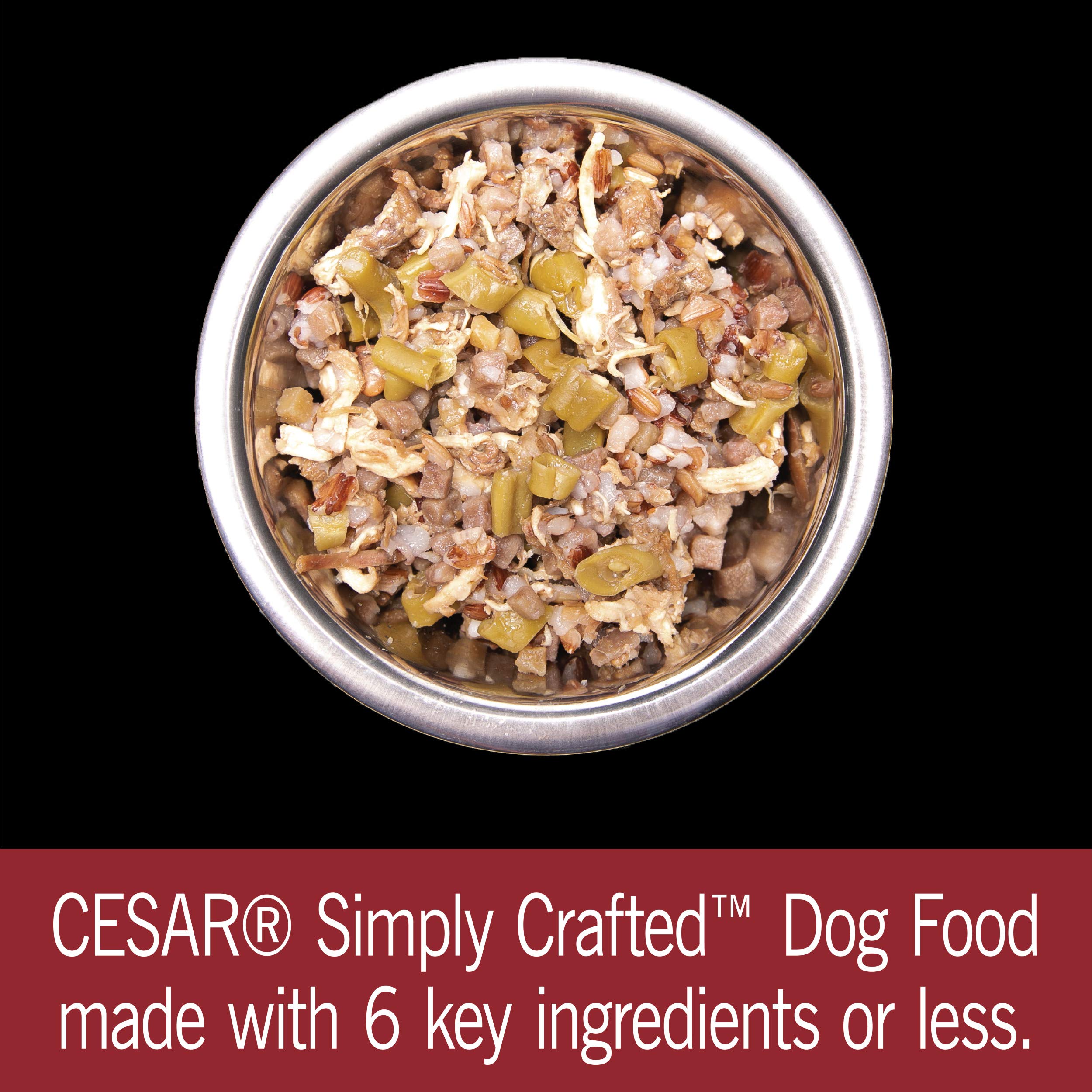 CESAR SIMPLY CRAFTED Adult Soft Wet Dog Food Meal Topper Beef, Chicken, Purple Potatoes, Green Beans & Red Rice, 1.3 oz. Tubs, (Pack of 10)