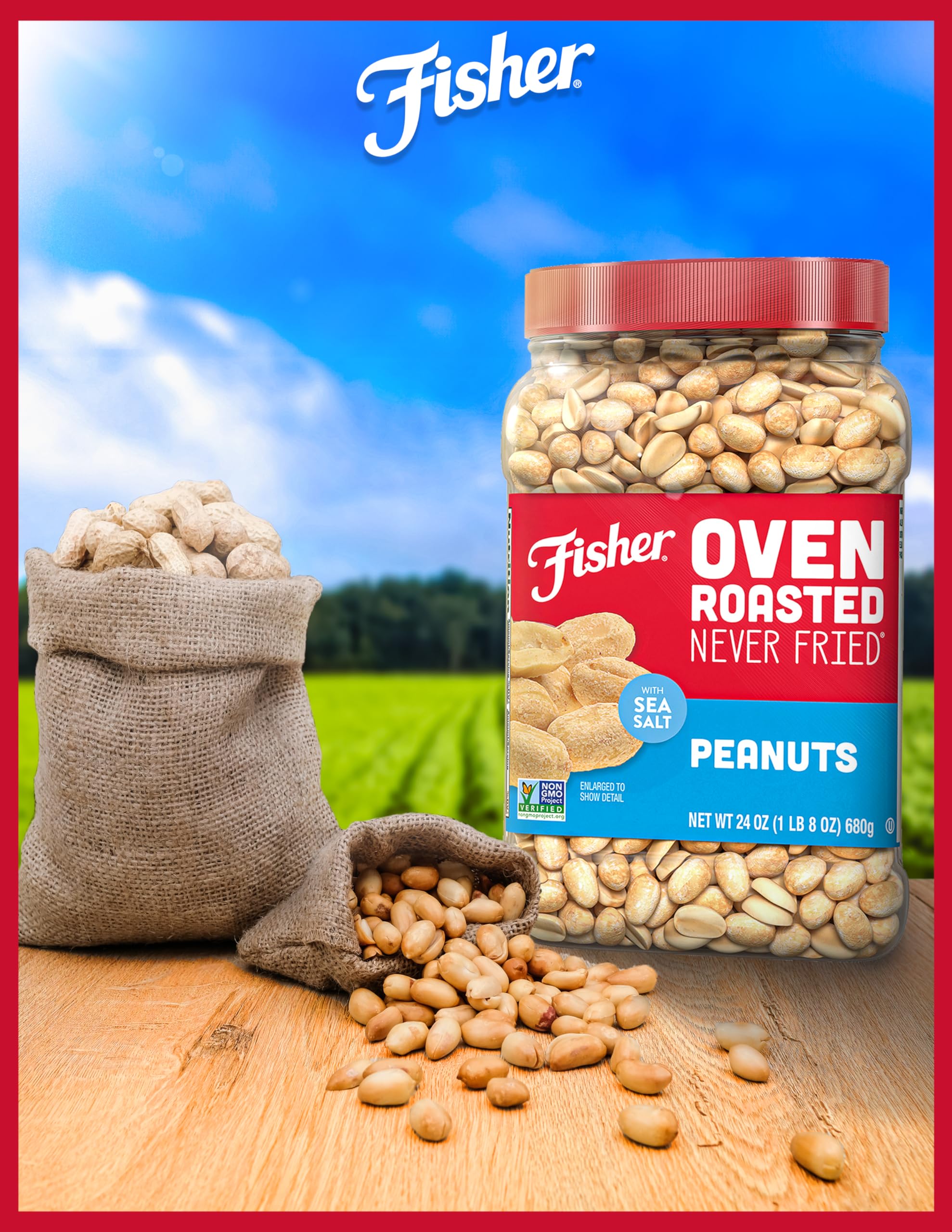 Fisher Oven Roasted Never Fried Peanuts, 24 Ounces (Pack of 6), Snacks for Adults, Made With Sea Salt, No Added Oils, Artificial Ingredients or Preservatives, Gluten Free, Vegan Protein, Bulk 