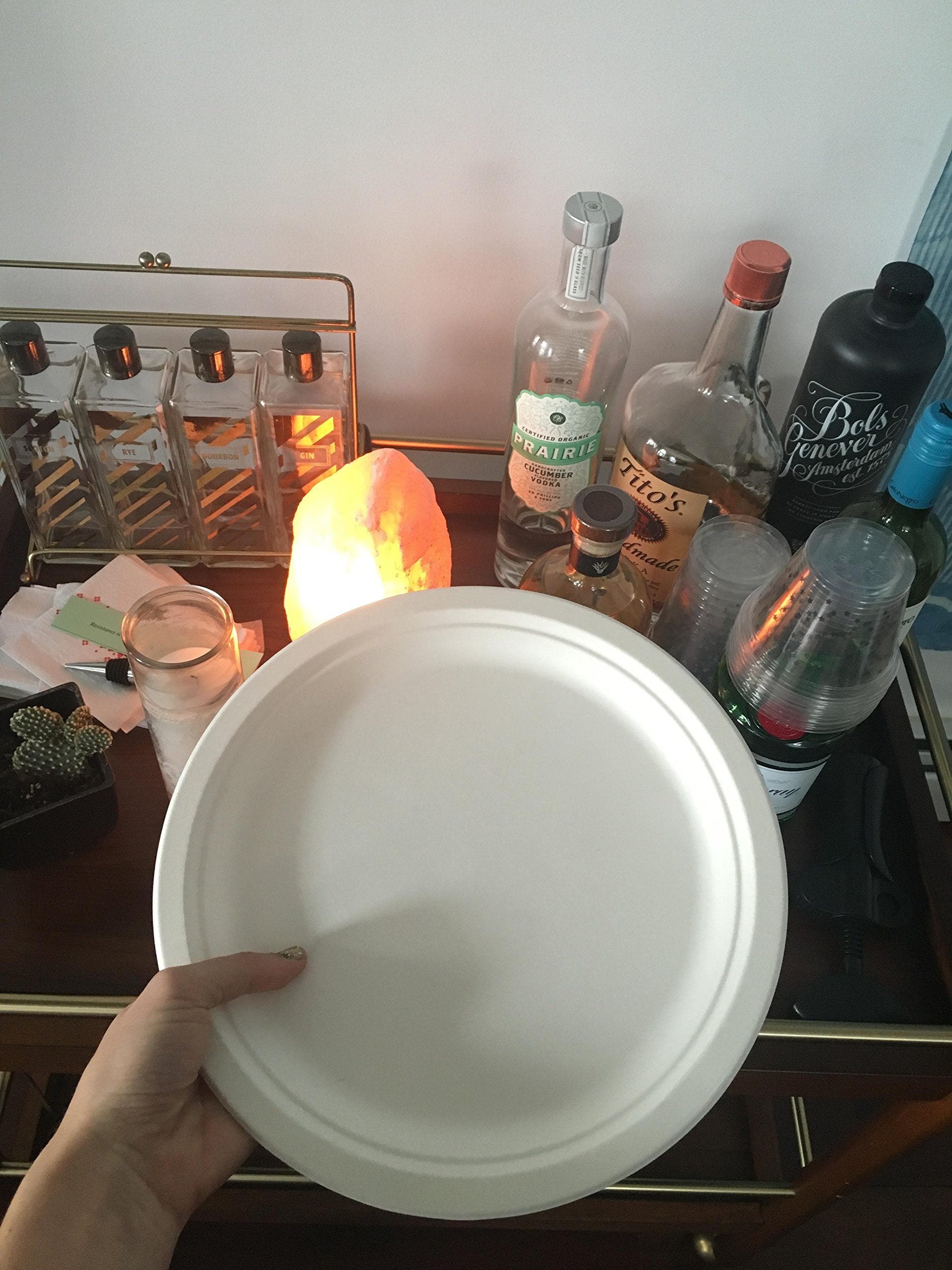 Susty Party 10-Inch Compostable Round (50-Count), Sugarcane Heavy Duty Disposable Biodegradable Plate for Dinner, White