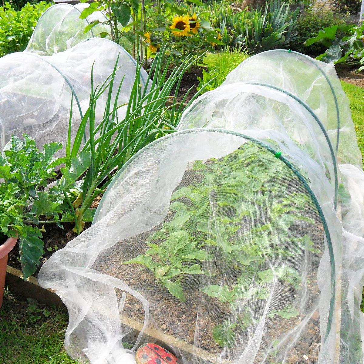 GonLei Garden Netting 8 X 24 FT Garden Mesh Netting Protection Plant Cover Screen Vegetable Row Cover,Cicada Netting for Trees Blueberry Shrubs Fruits Flowers Garden Screen Barrier Net