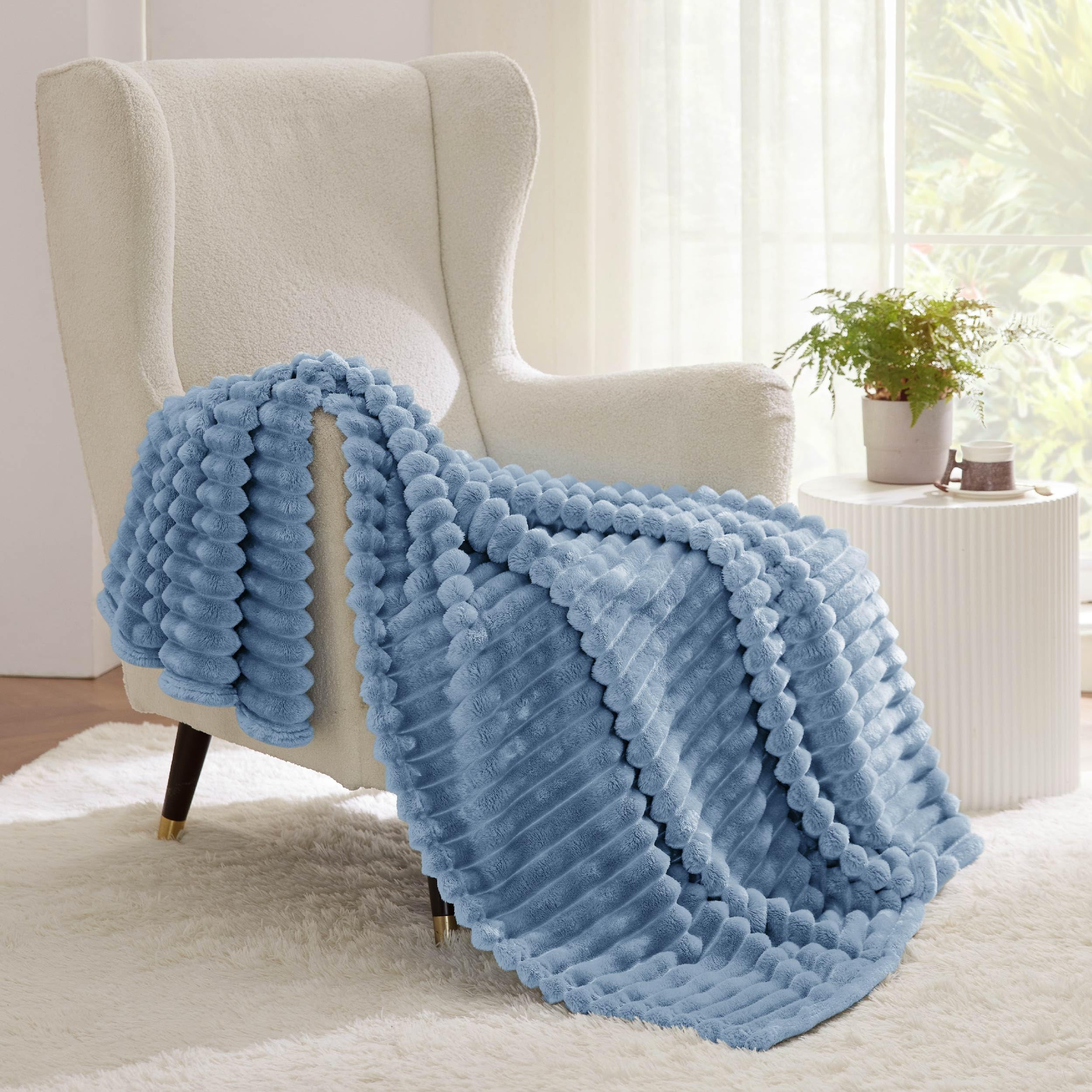 Bedsure Fall Throw Blanket for Couch - Super Soft Cozy Blankets for Women, Cute Small Blanket for Girls, Ashley Blue，50x60 Inches