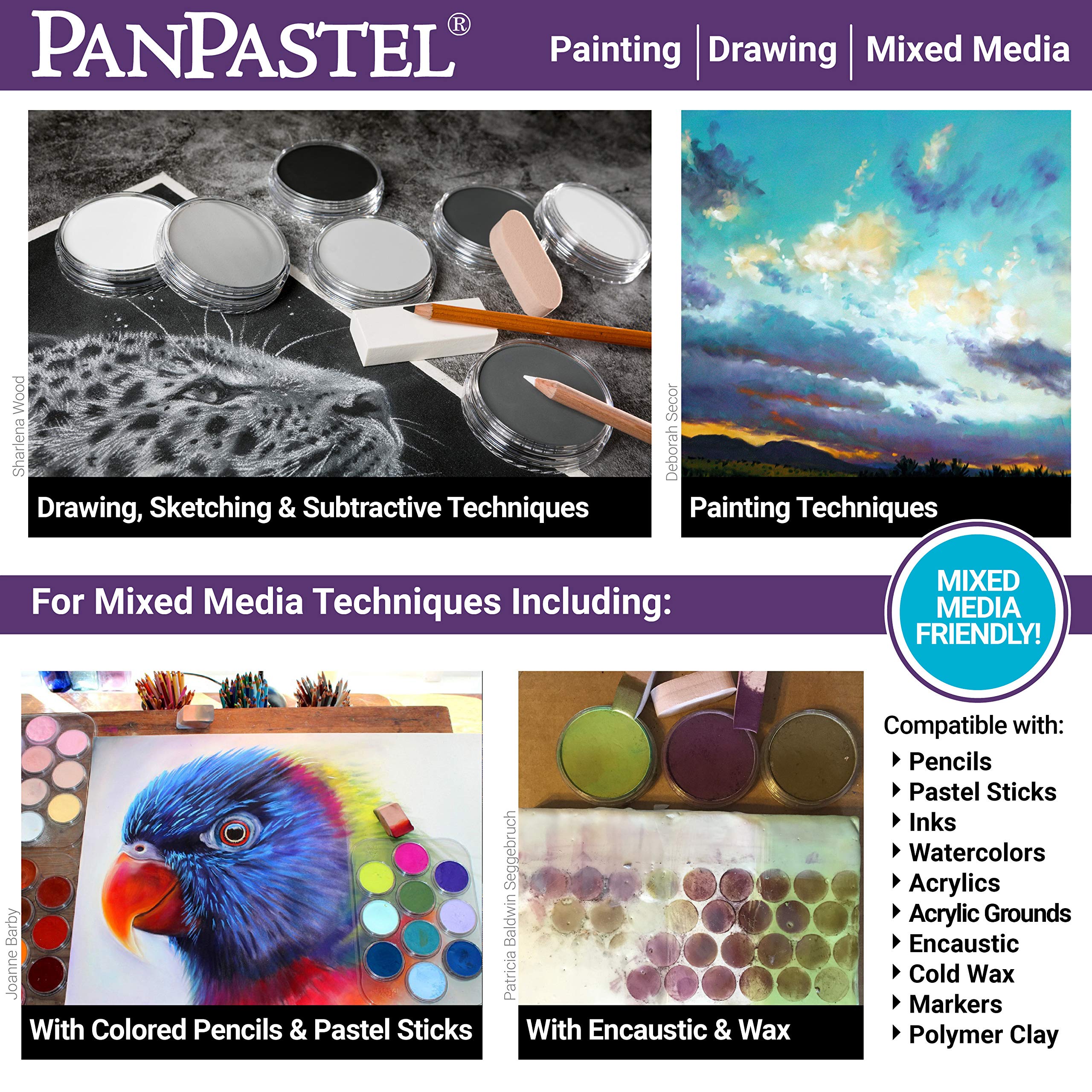 PanPastel Artist Pastels by GOLDEN, Painting Set, 10 Color, Professional Artist Pastels, Unique Pan Format (cake-like)