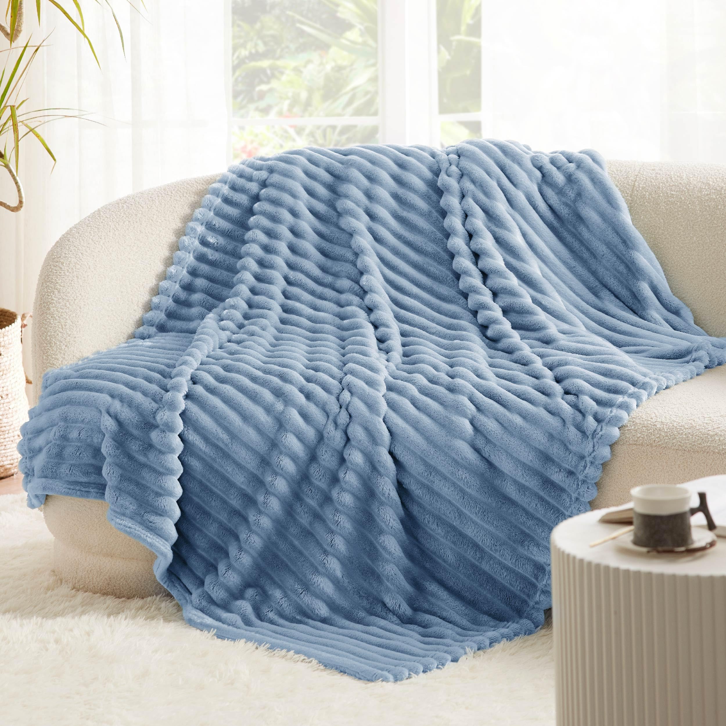Bedsure Fall Throw Blanket for Couch - Super Soft Cozy Blankets for Women, Cute Small Blanket for Girls, Ashley Blue，50x60 Inches