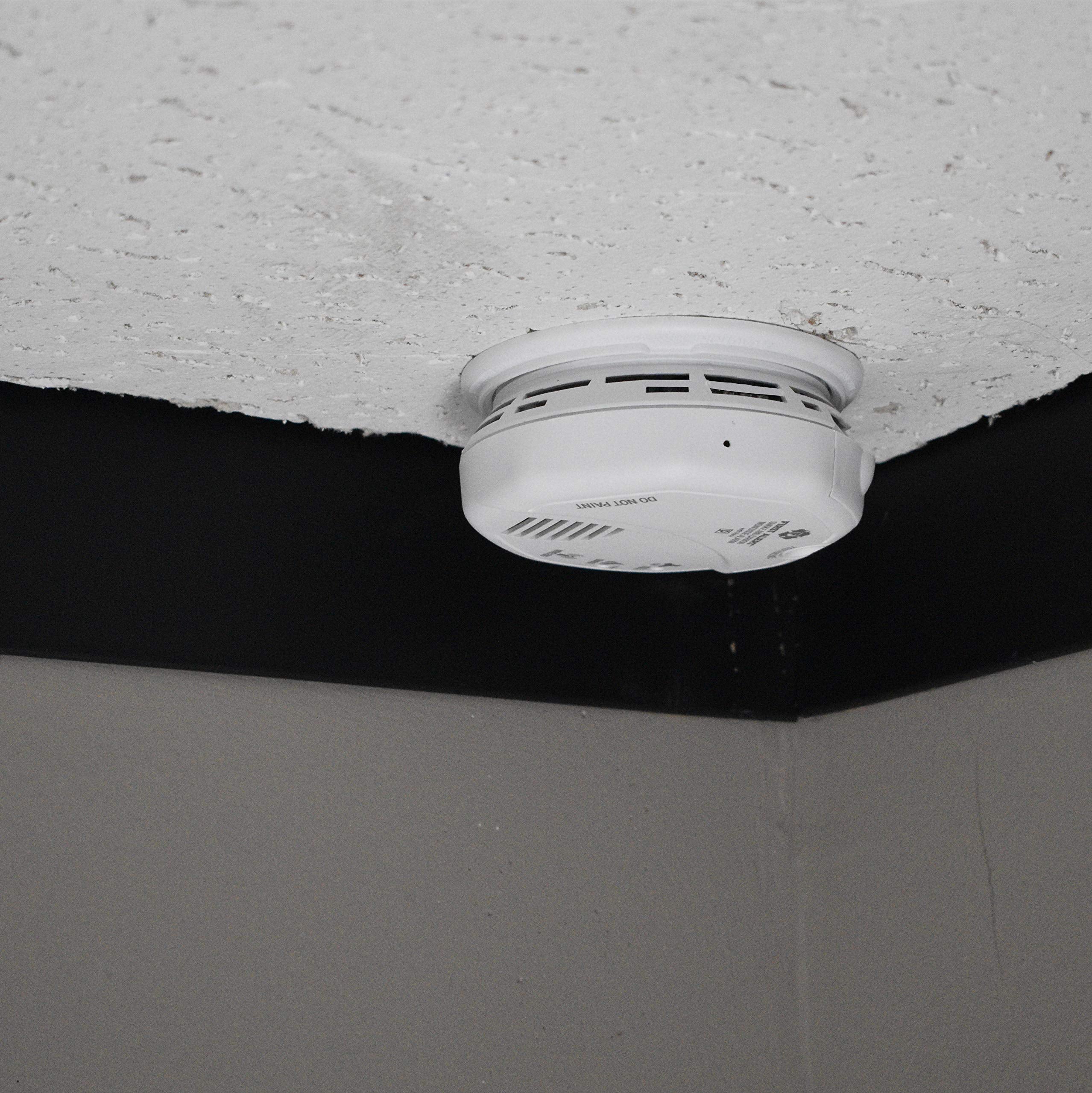 Minigadgets BBENSMOKEDUALCAM Faux Smoke Detector w/ 2 Hidden Cameras