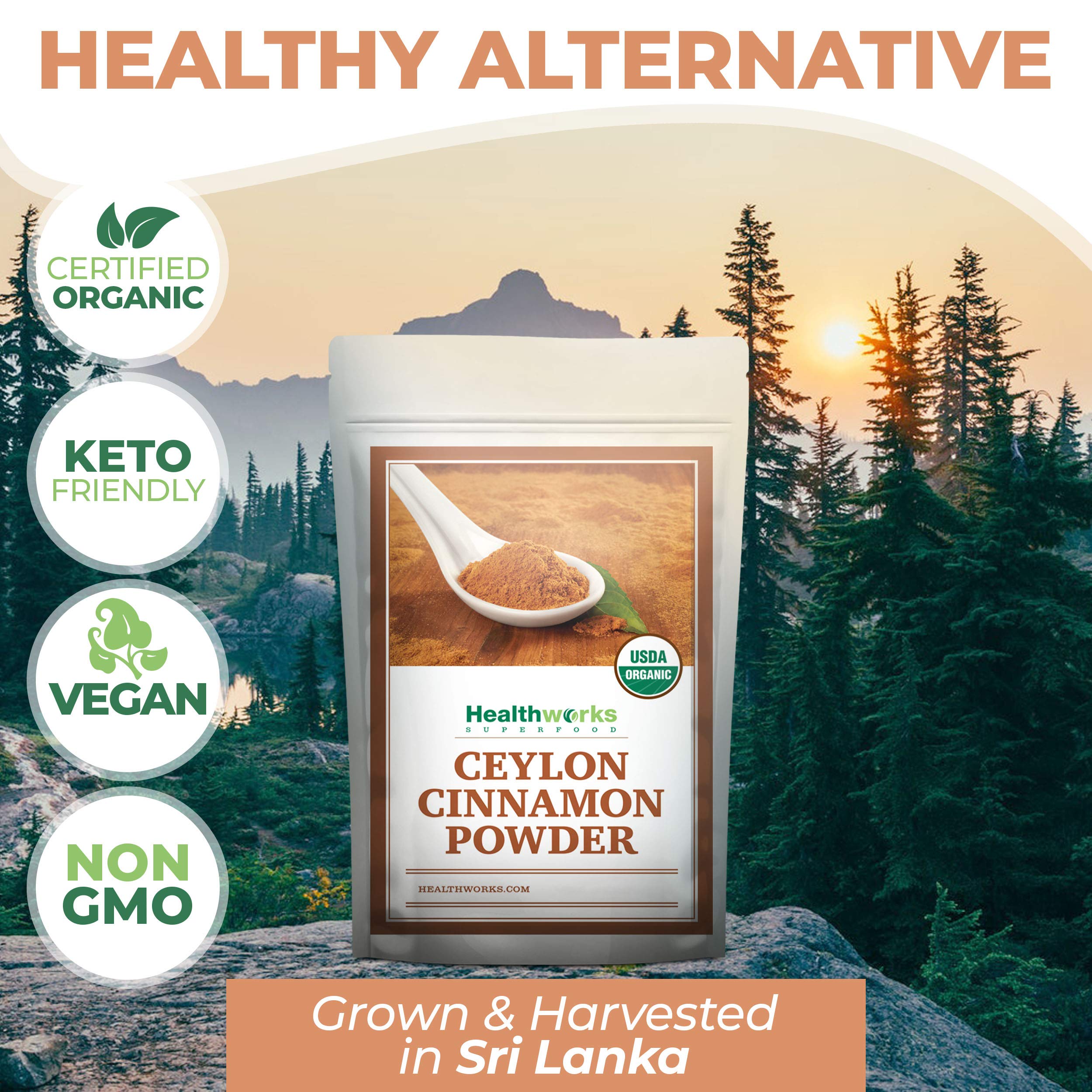 Healthworks Ceylon Cinnamon Powder Ground Raw Organic (16 Ounces / 1 Pound) | Keto, Vegan & Non-GMO | Great with Coffee, Tea & Oatmeal | Premium Antioxidant Superfood/Spice (1 Pound)