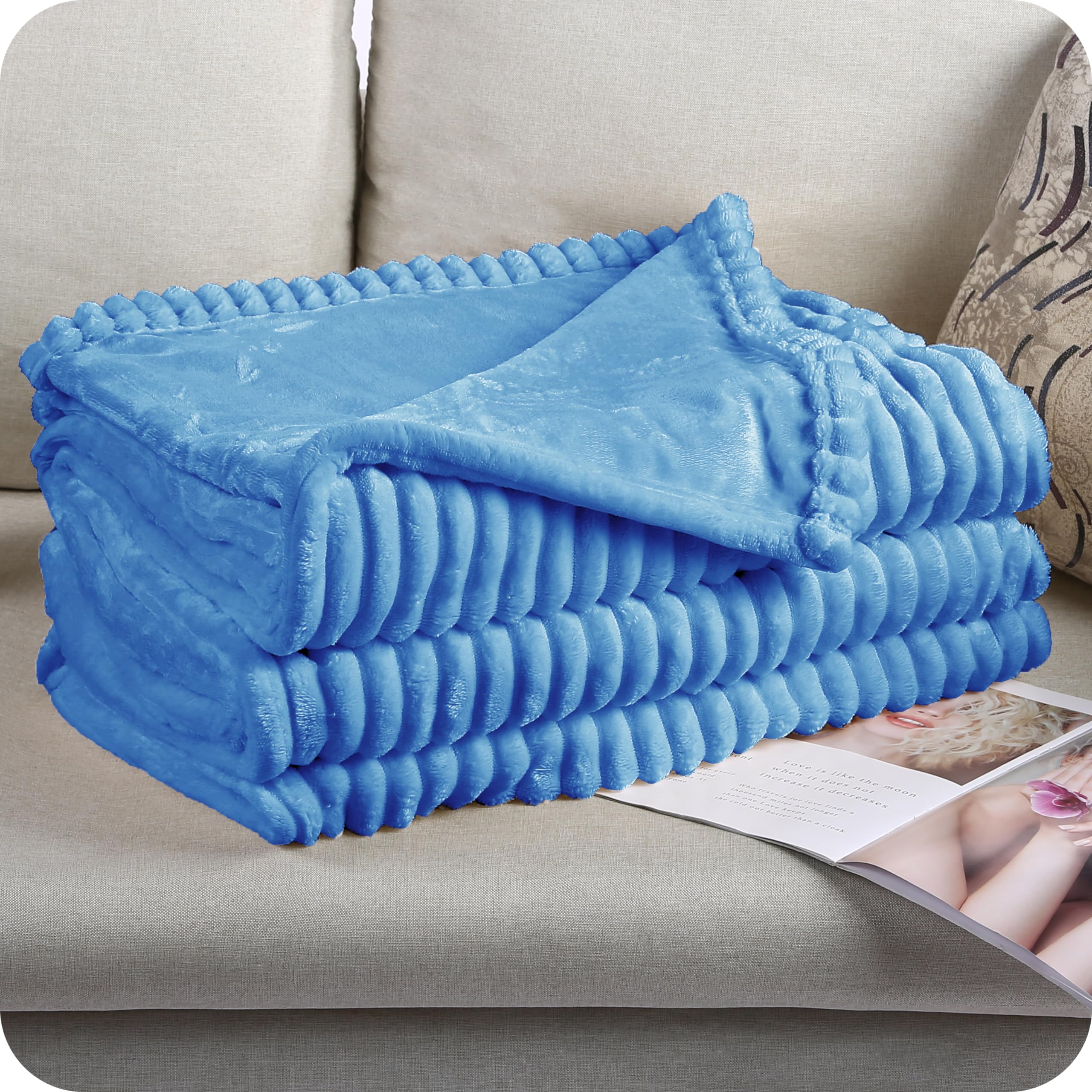 Electric Heated Blanket 72"x84" Full Size with 10 Heating Levels and 12 Hours Auto-Off Large Oversized Heating Blanket with Soft Plush Fabric for Bedding - Sky Blue