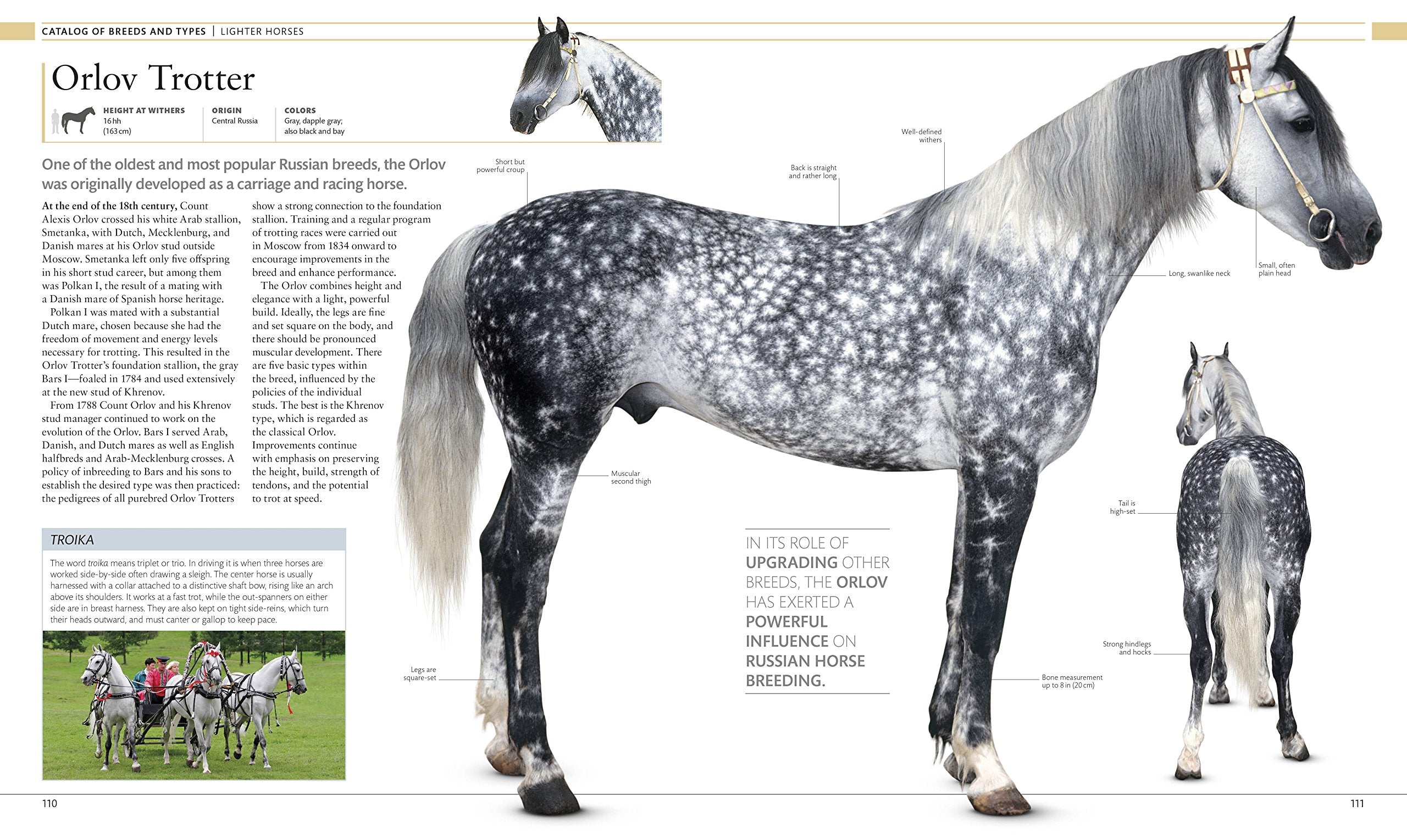 The Horse Encyclopedia (DK Pet Encyclopedias)