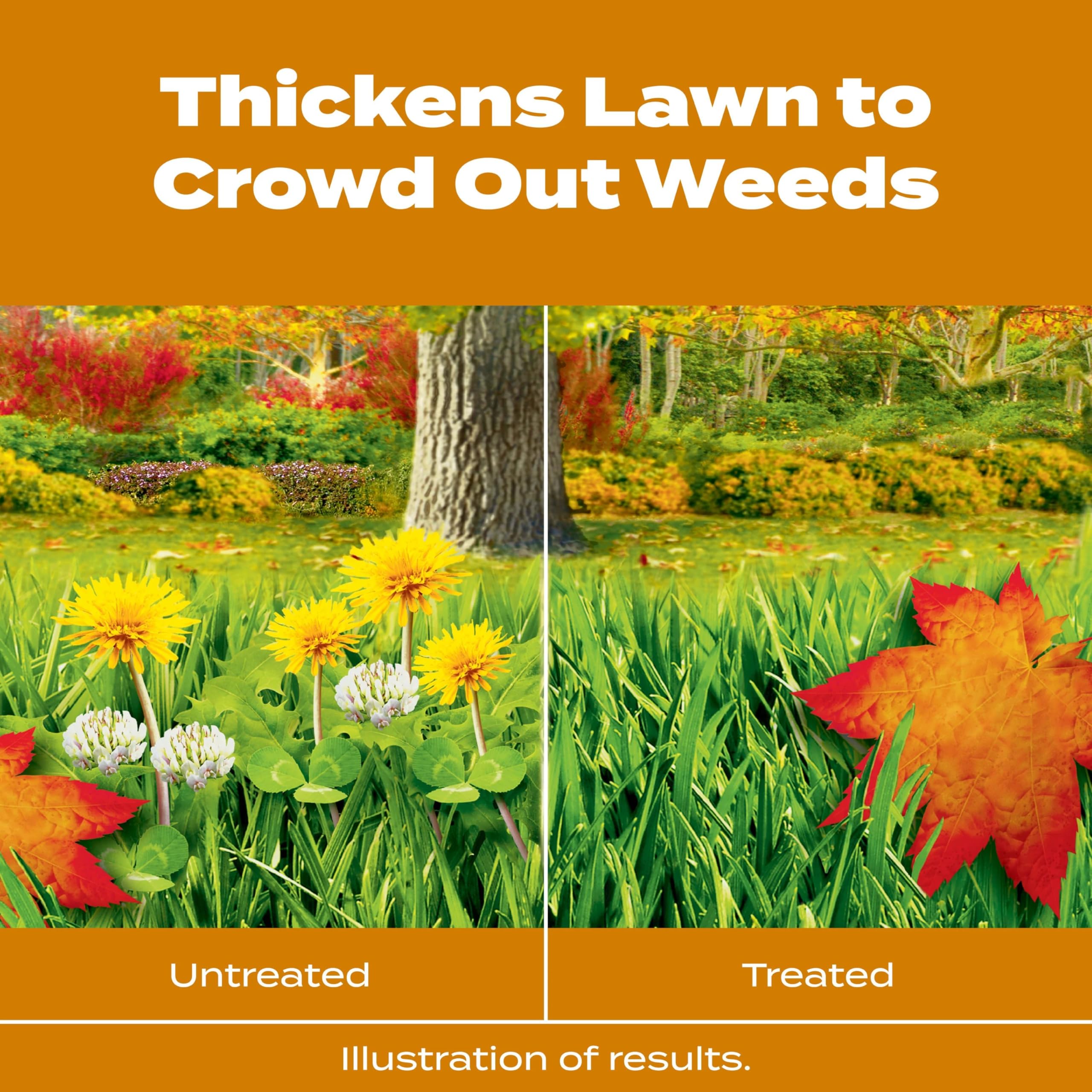 Scotts Turf Builder WinterGuard Fall Weed & Feed3, Weed Killer Plus Fall Fertilizer, 5,000 sq. ft., 14.29 lbs.