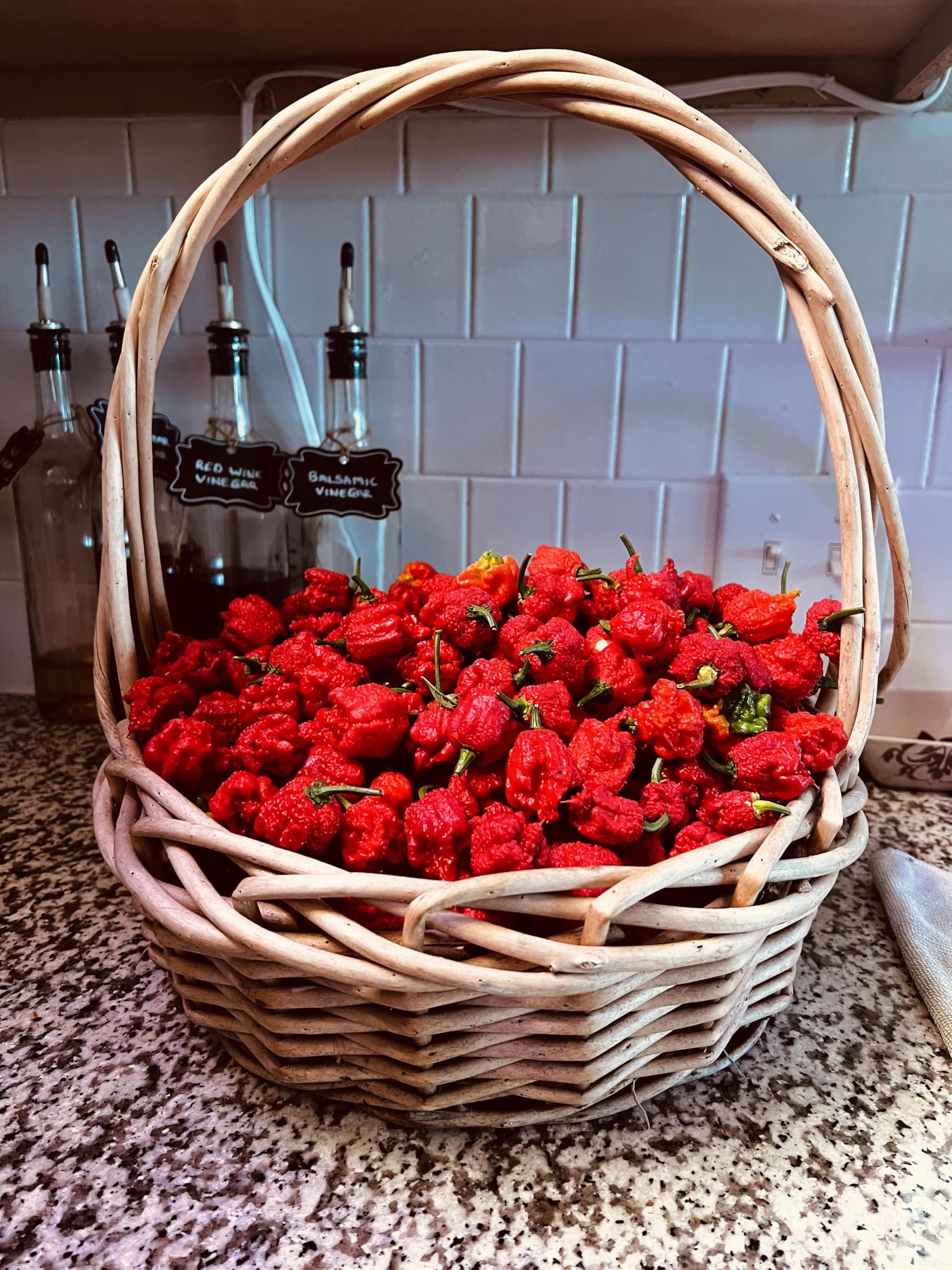 Carolina Reaper Seeds – World’s Hottest Pepper – Heirloom Quality, 10+ Seeds Per Pack