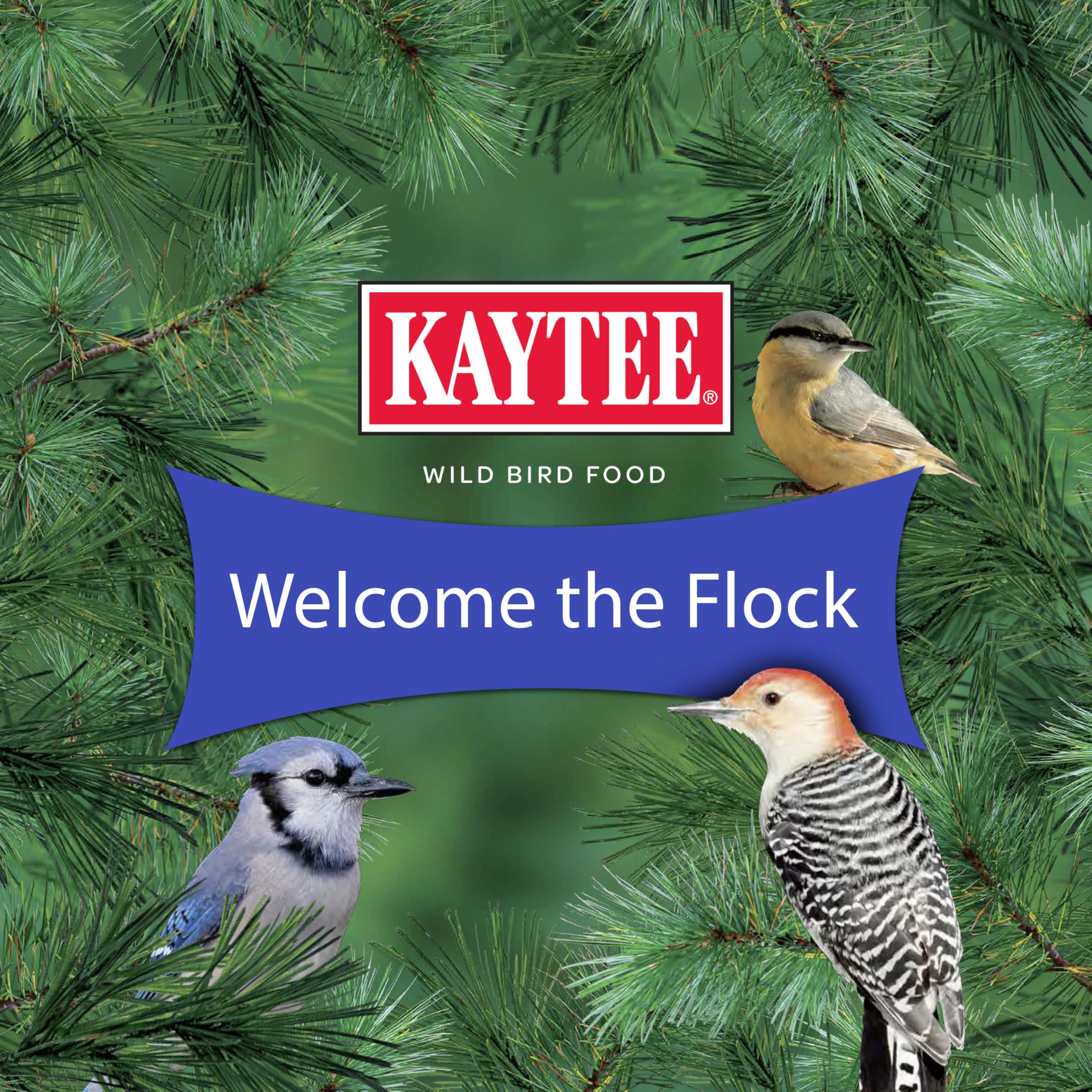 Kaytee Raw Peanuts in Shell for Squirrels, Woodpeckers, Nuthatches, Jays, Towhees, Cardinals, Indigo Buntings, and Other Wild Birds, 5 Pound