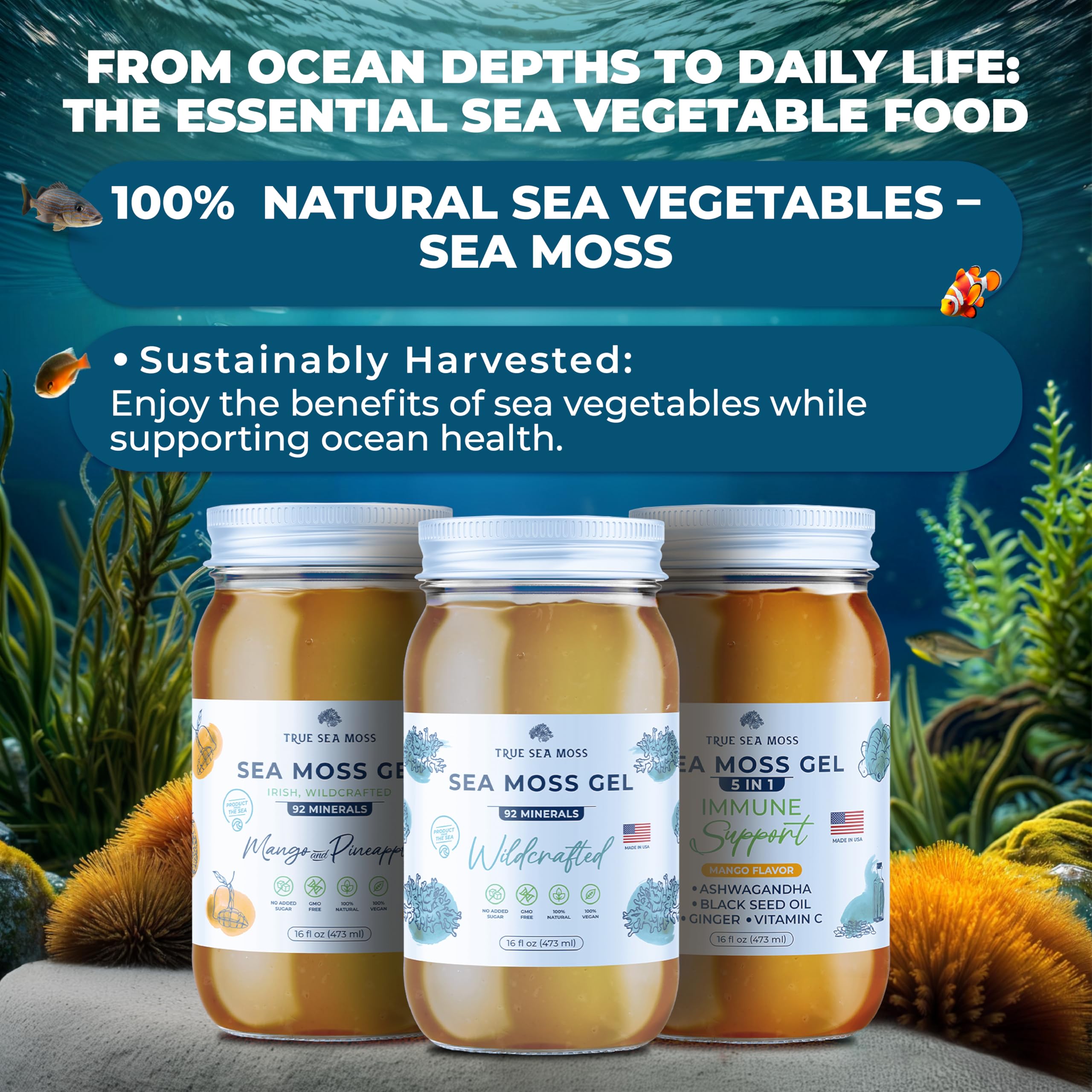 TrueSeaMoss Sea Moss Capsules & Sea Moss Gel