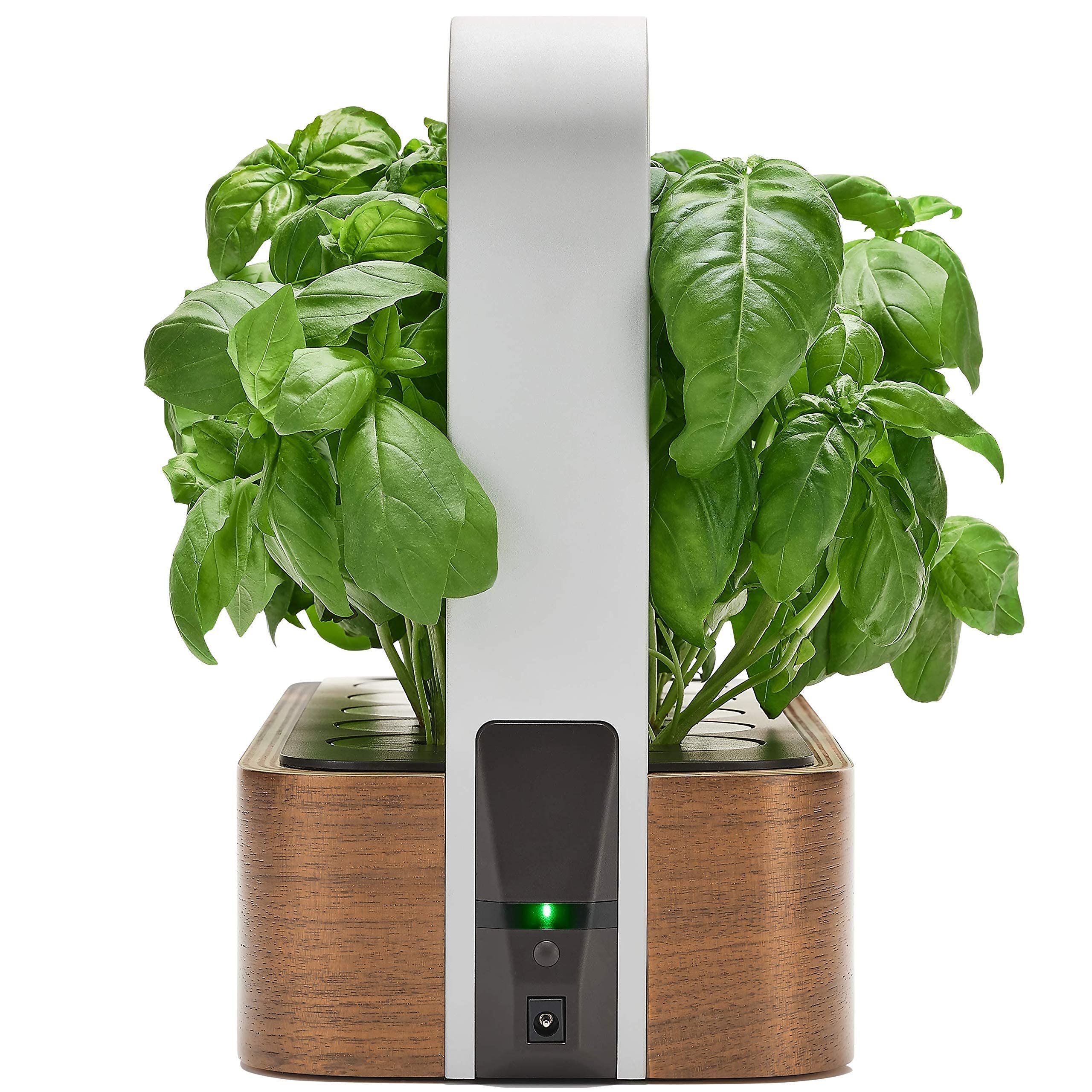 EDN SmallGarden with Basil SeedPods, Indoor Grow Smart Garden Starter Kit for Fresh Home Grown Herbs, Plants and Flowers - Grow up to 10 Different Plants at Once