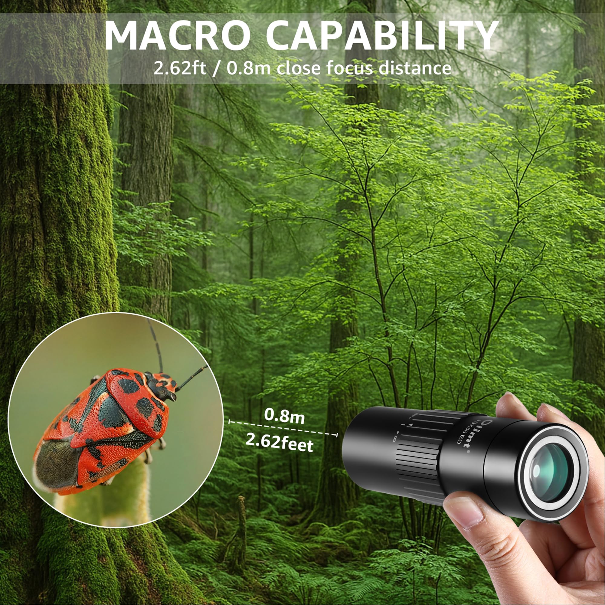 10x36 Monocular Telescope, Compact Handheld Mini Pocket Small Portable Size ED Lens Fully Multi-Coated HD BAK-4 Prism Optics Professional Waterproof Fogproof for Adults Hiking Bird Watching Travel
