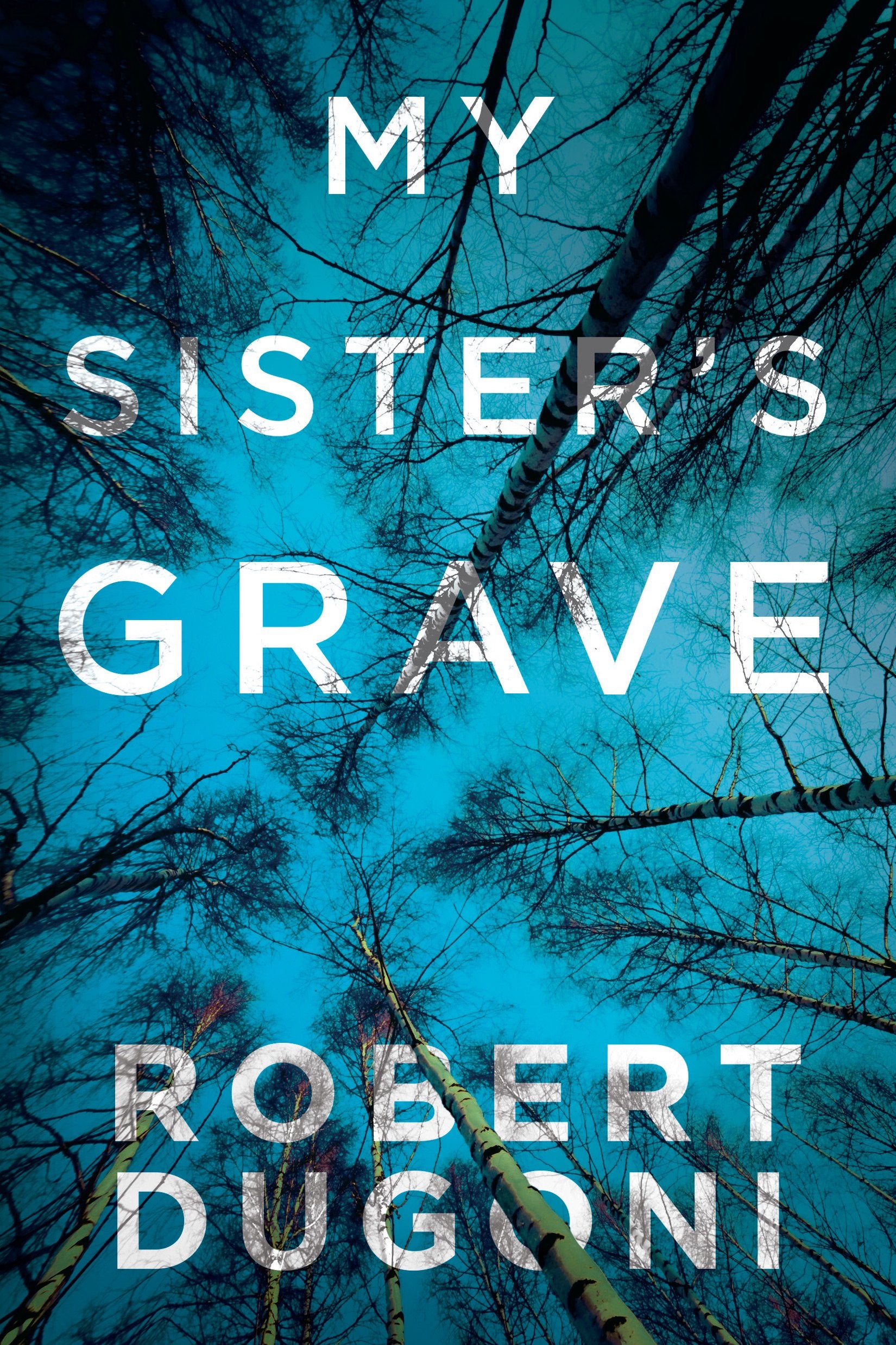 Our Sister's Grave (Casey White #10) by B.R. Spangler